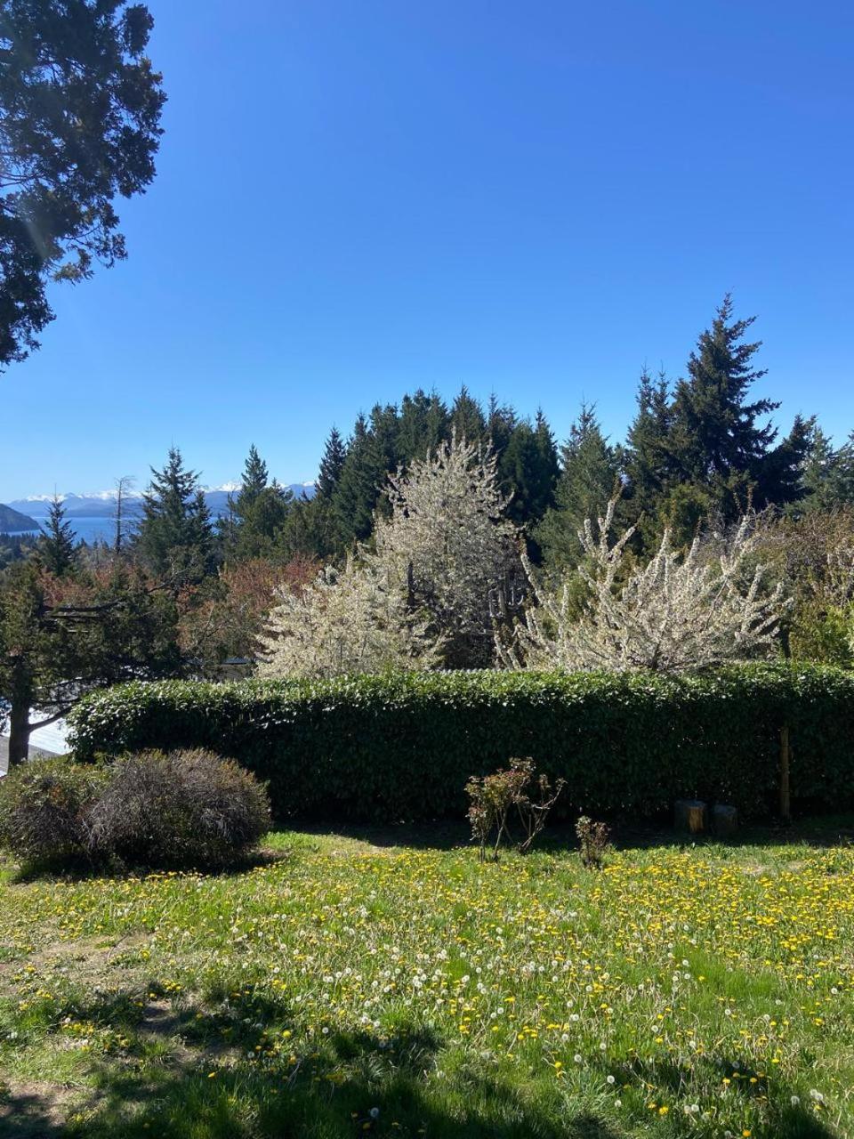 Pico Andino