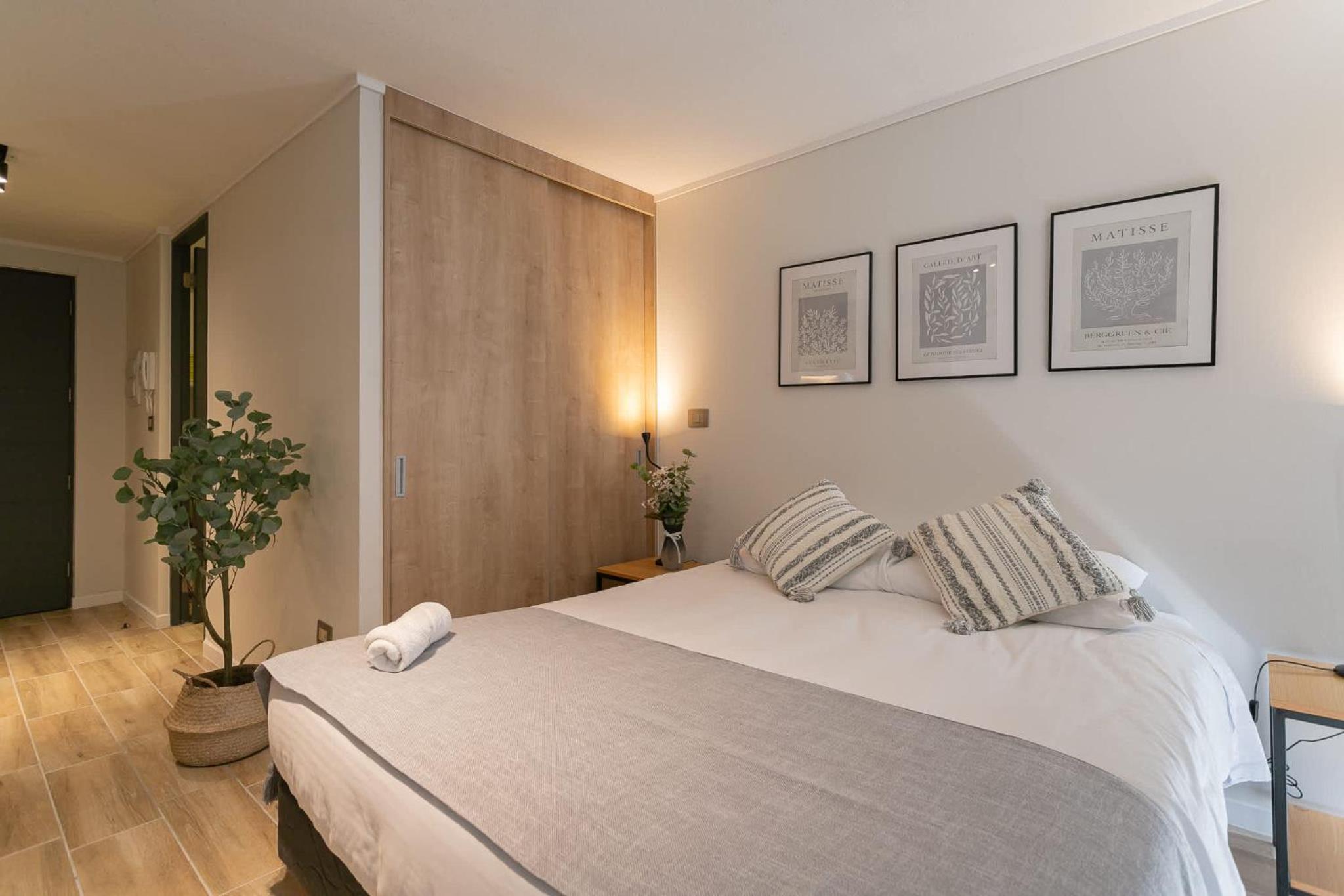 Feel Santiago Modern and Comfortable Studio