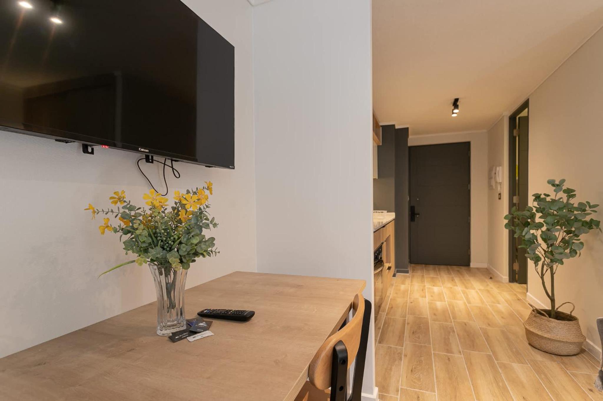 Feel Santiago Modern and Comfortable Studio