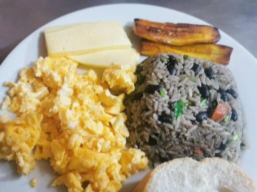 Hostel Coati Place Bed & Breakfast Adults Only