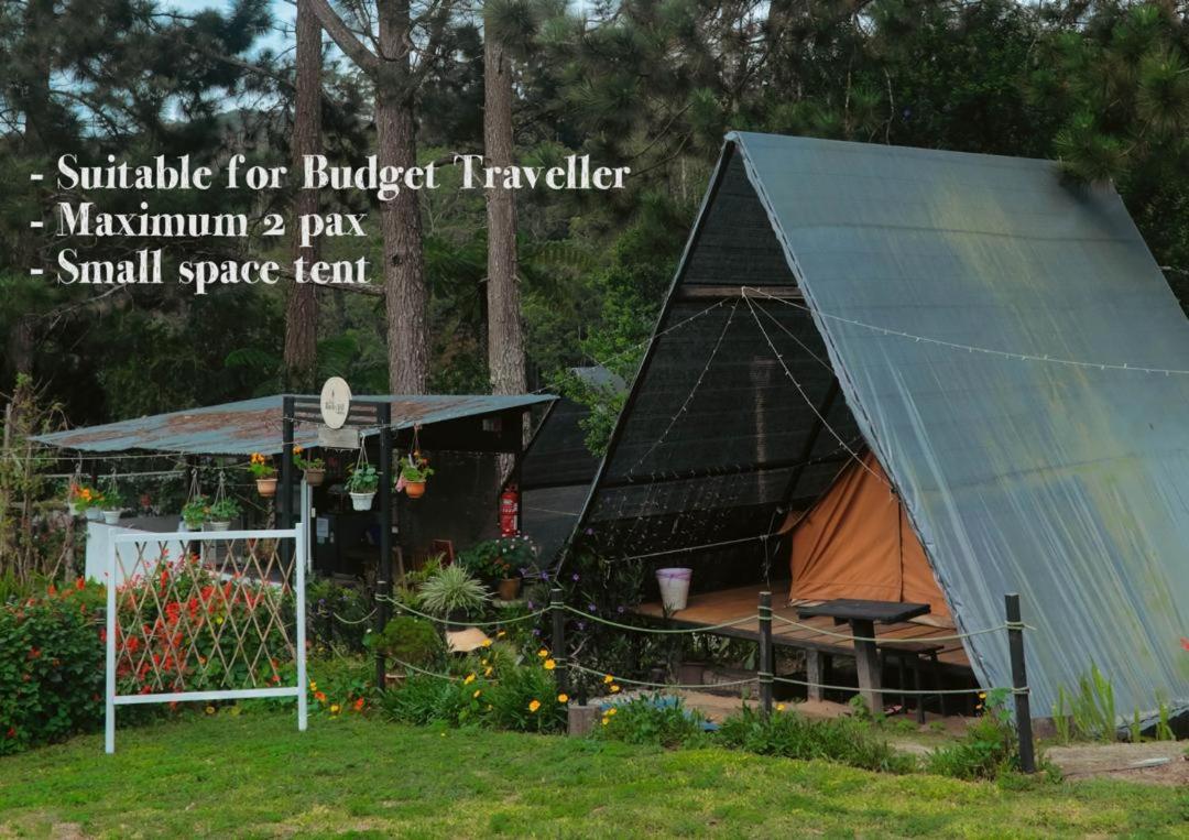 The Backyard Glamping Cameron Highlands