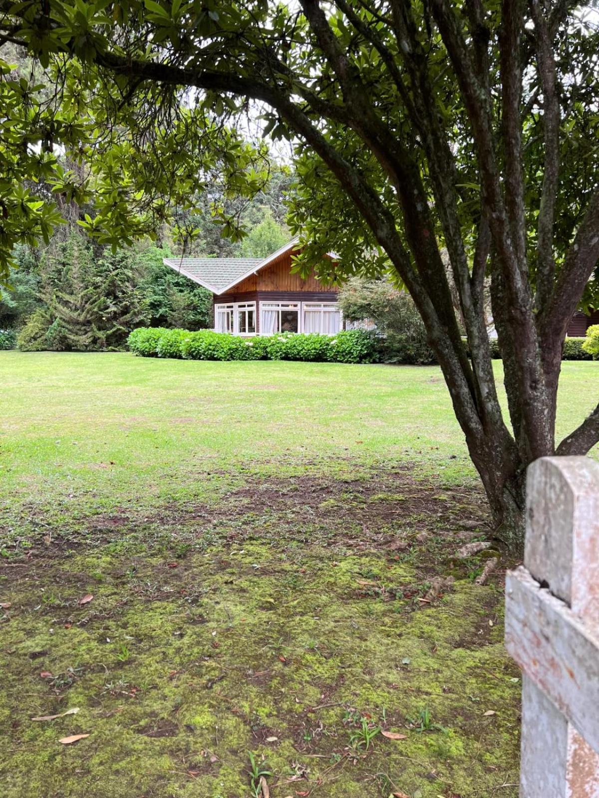 casa ninho da gaivota
