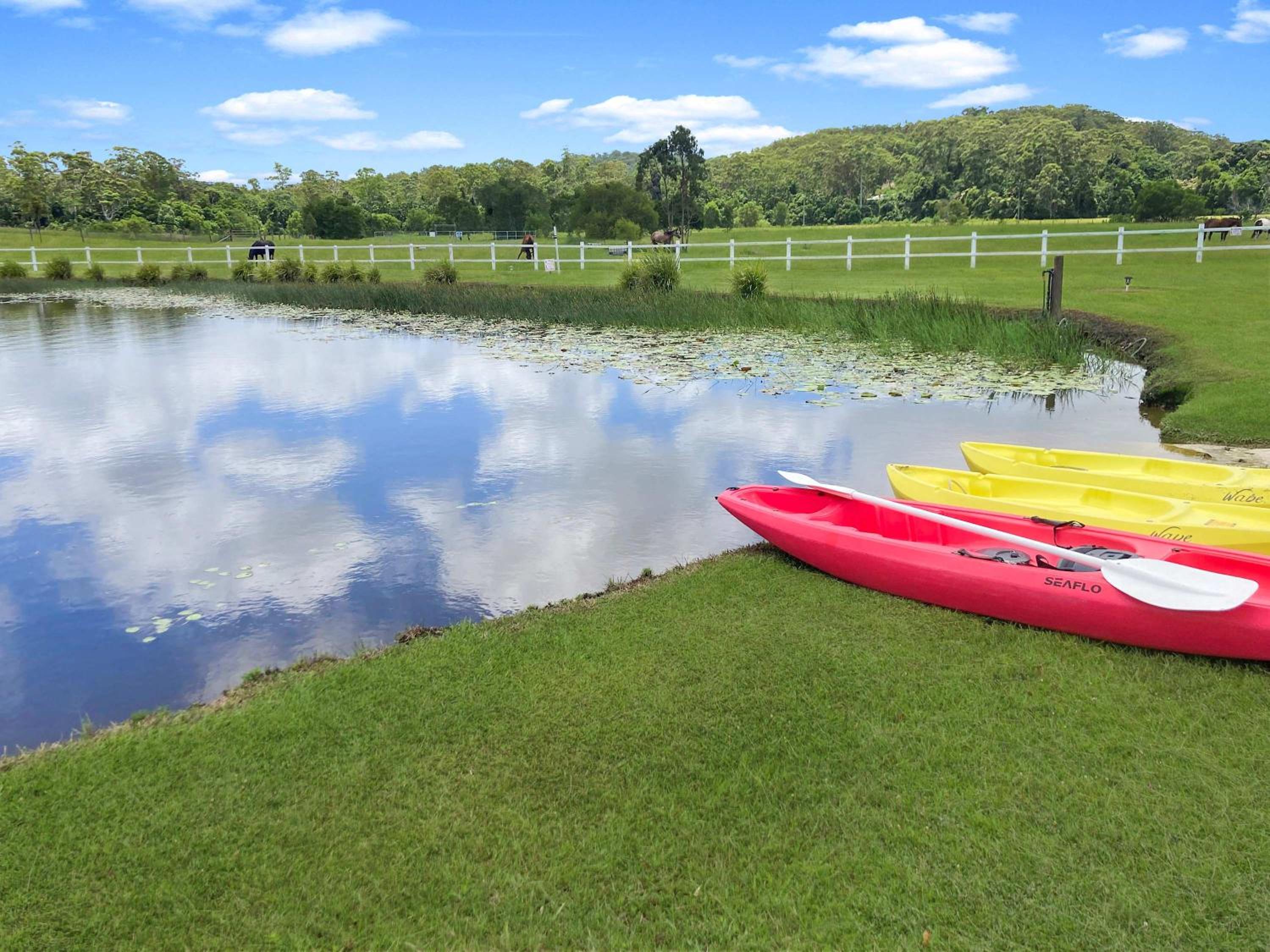 activities & amenities