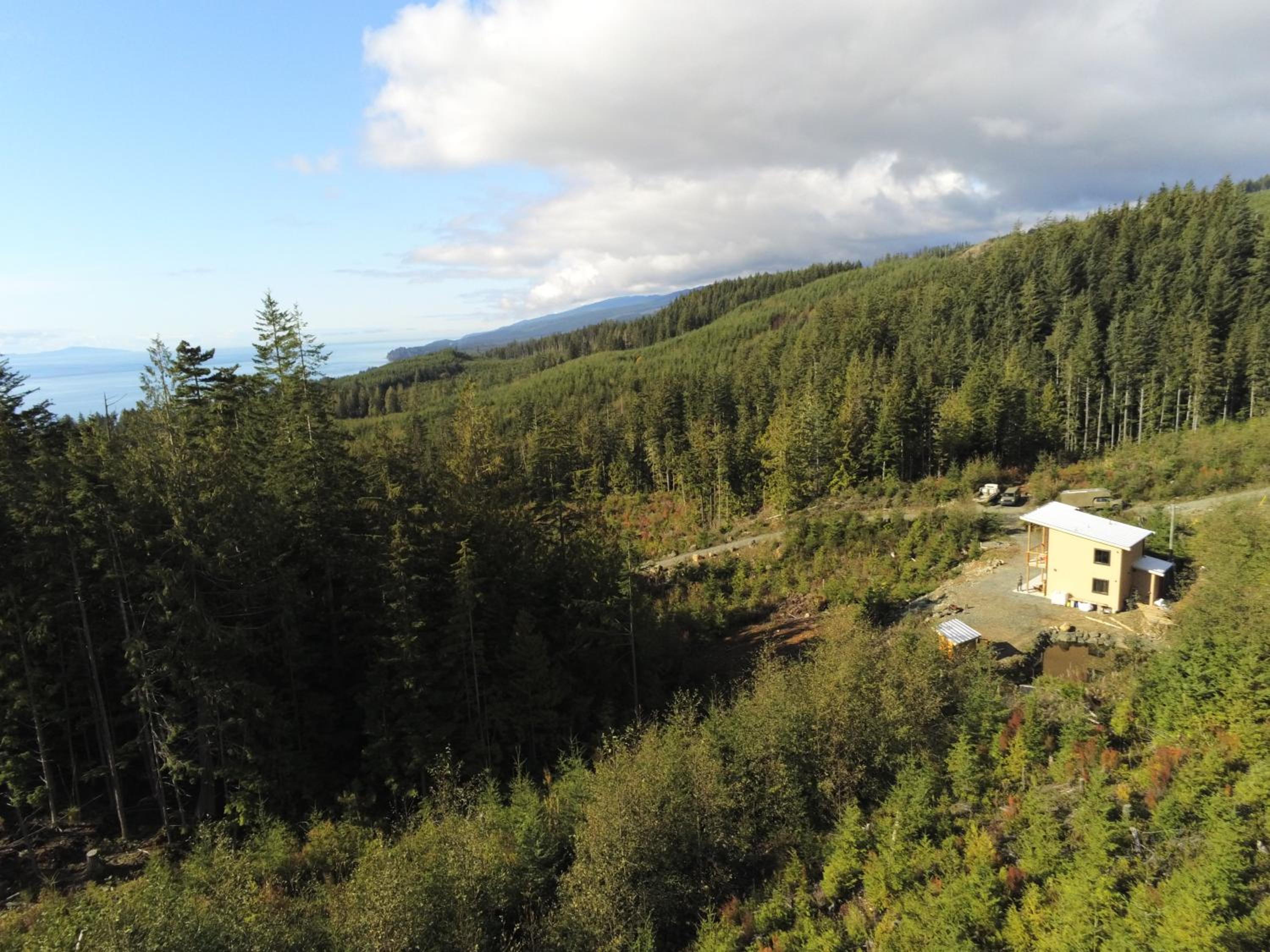 Funky Forest Bnb