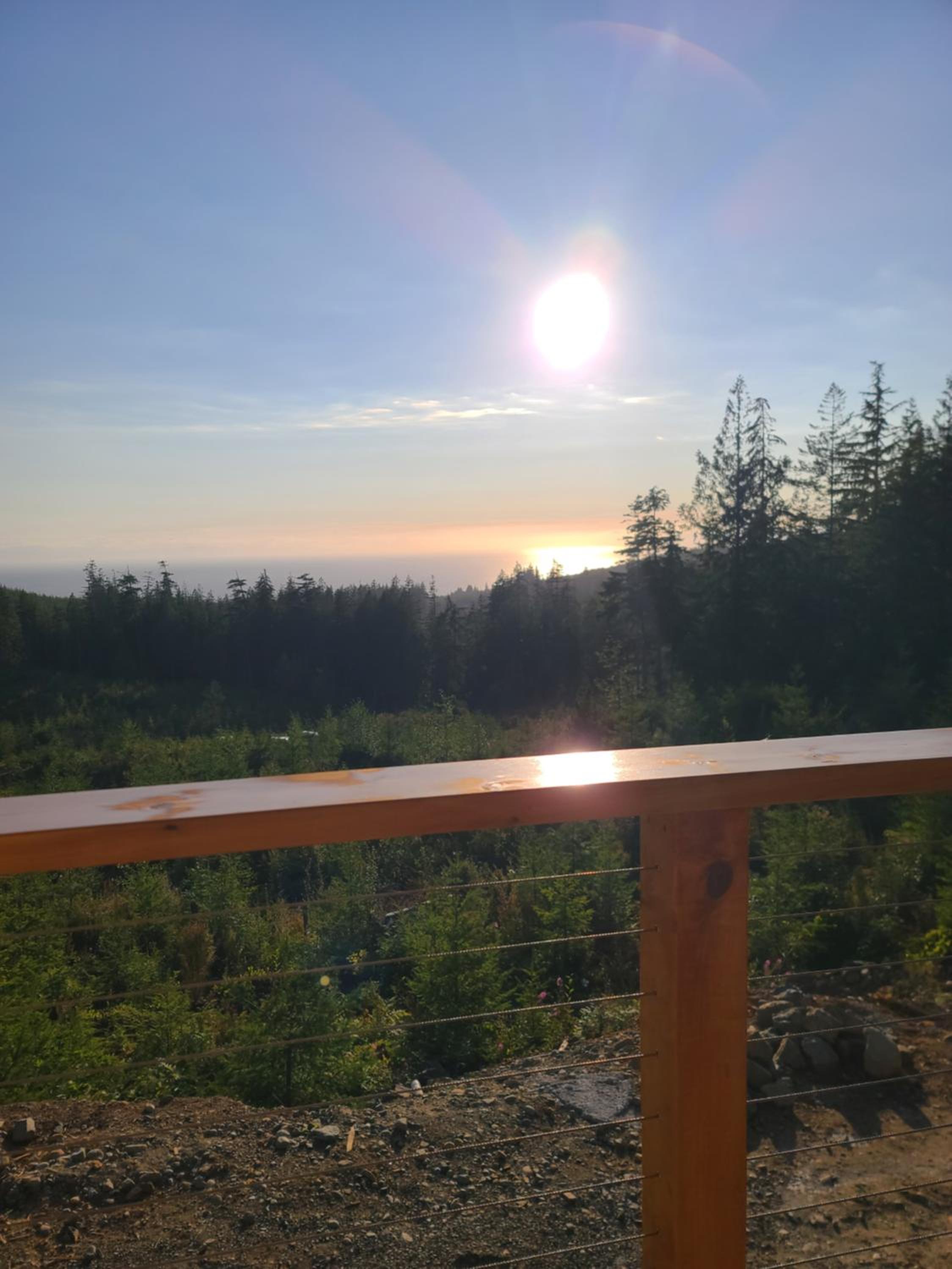 Funky Forest Bnb