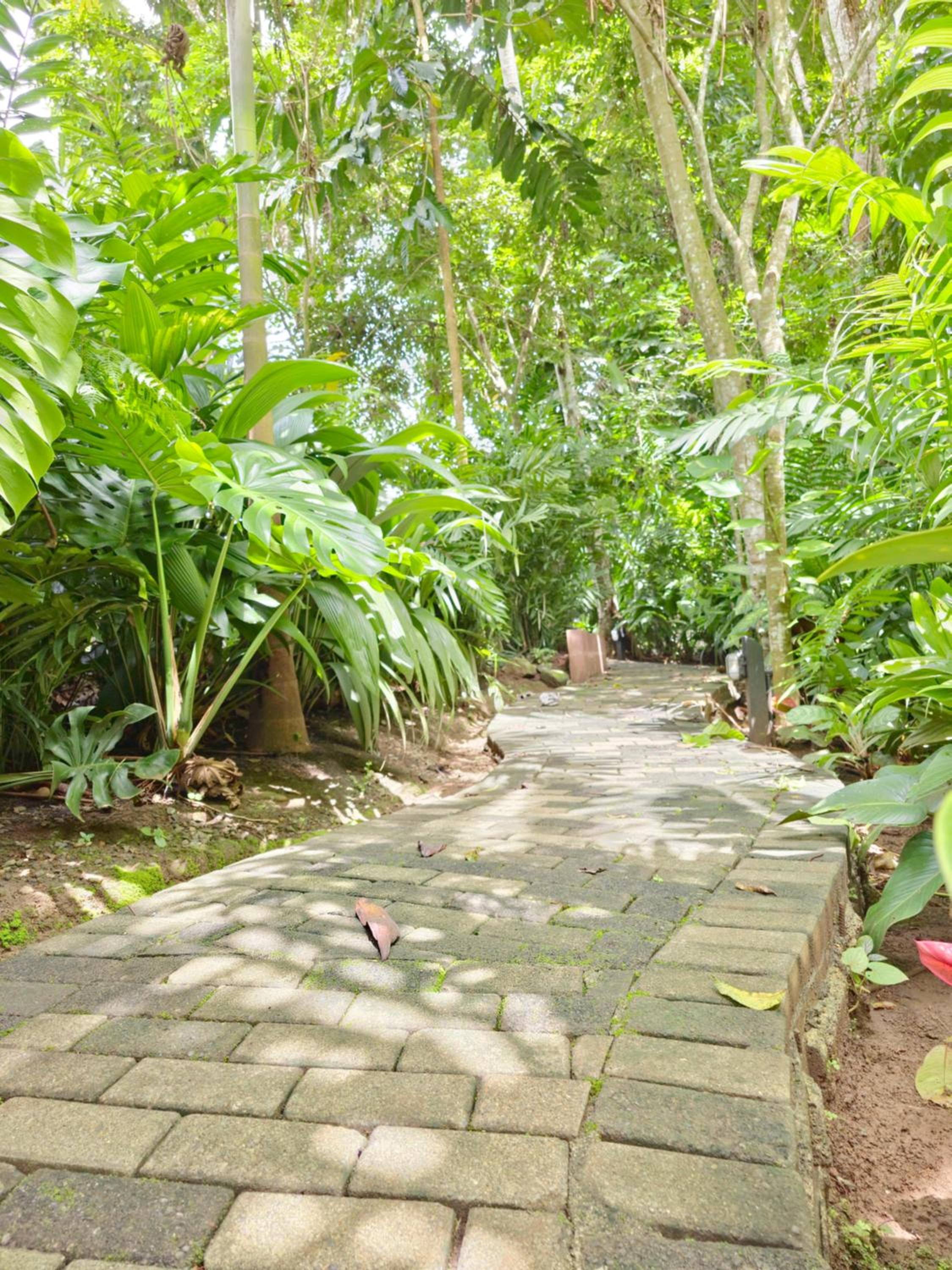 Secret Bungalows Lechu