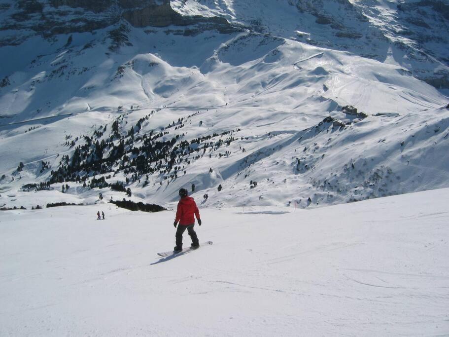 Delightful 4star Chalet Kiwi Apt