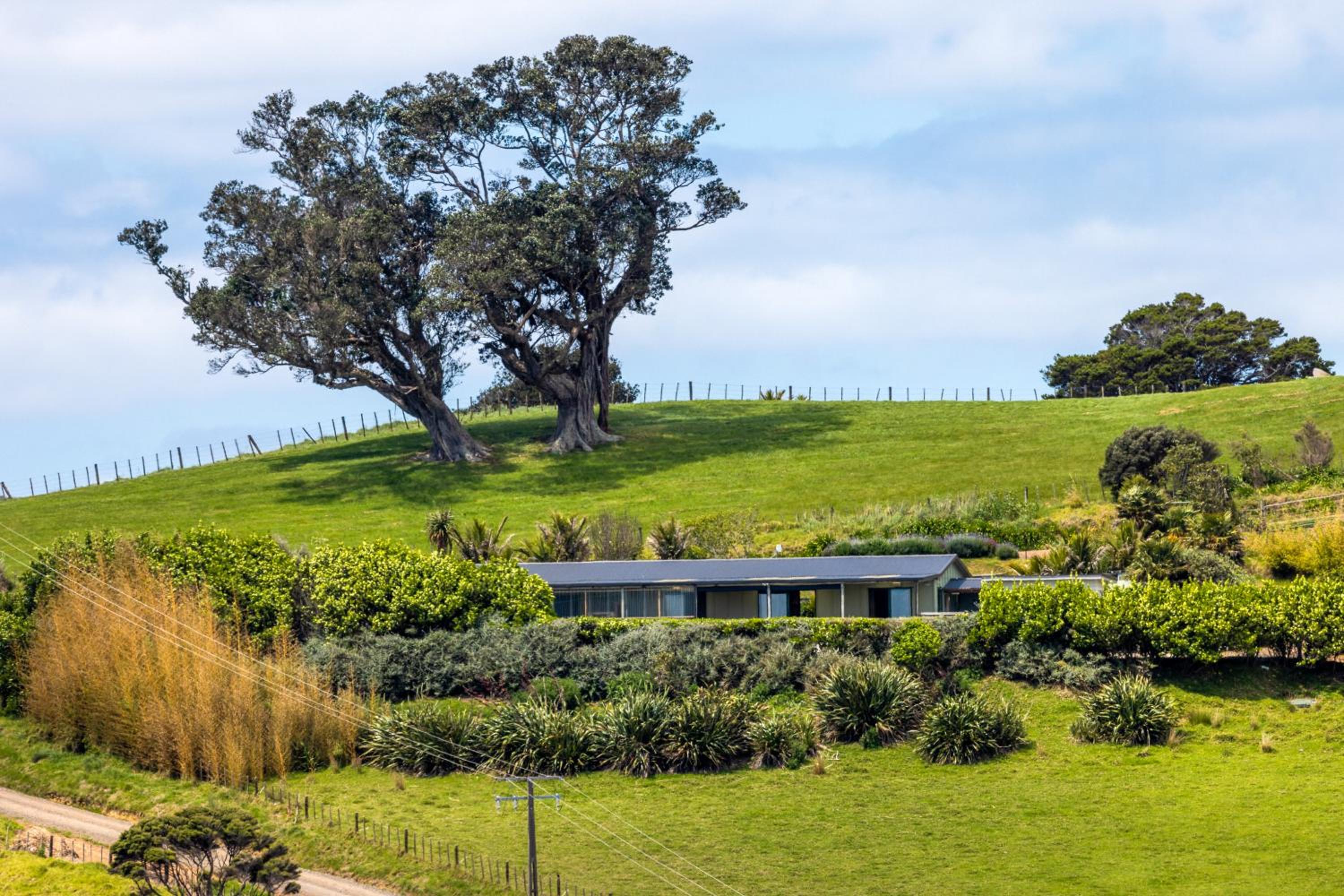 Woodside Vista - Waiheke Island Holiday Home