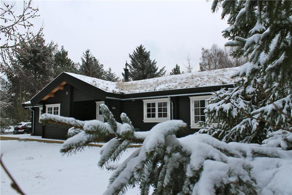 Photo 26