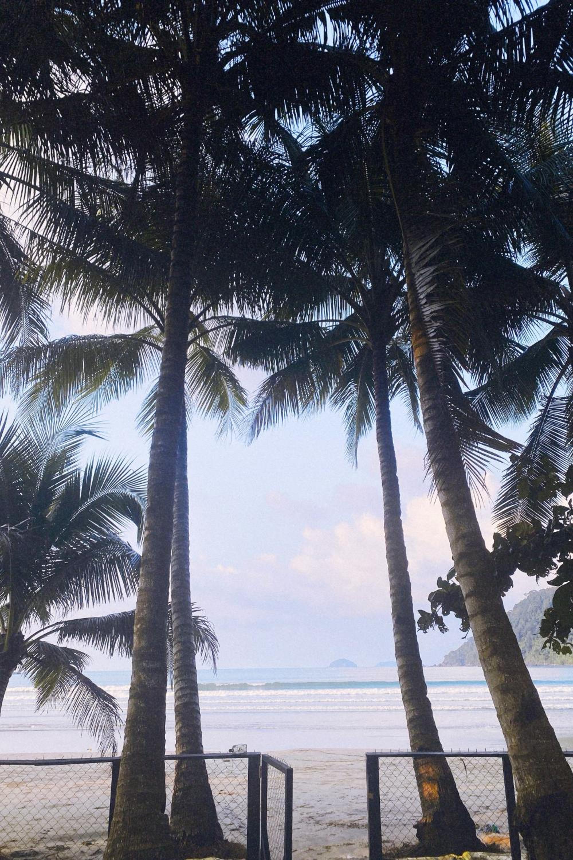 Beachfront Bungalows Bucana, El Nido