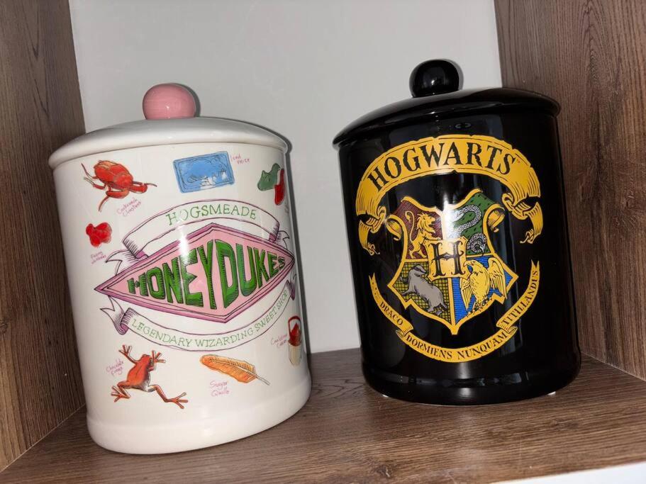 Apartaestudio Harry Potter