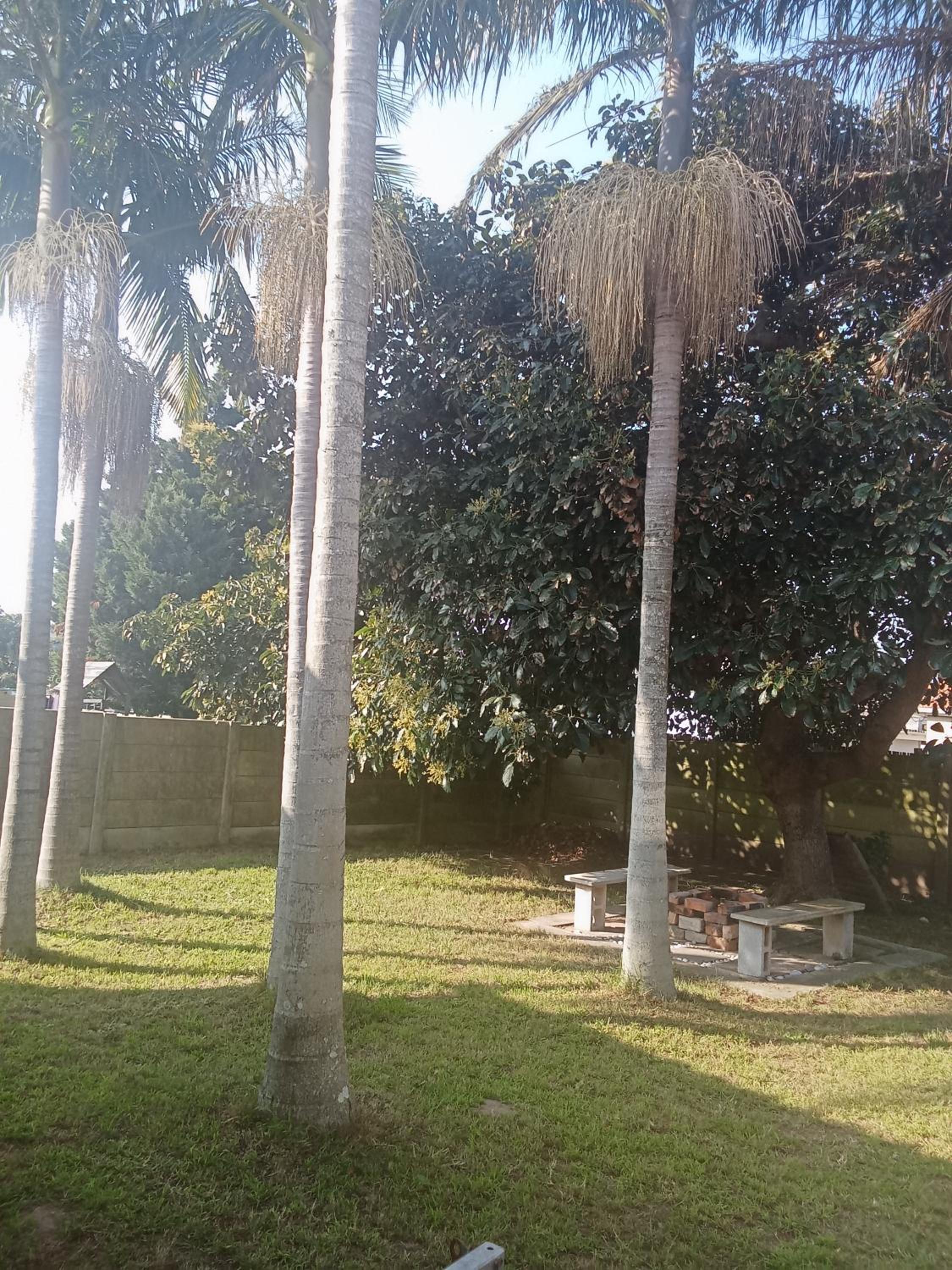 Turning Point Haven Rm2 view 4