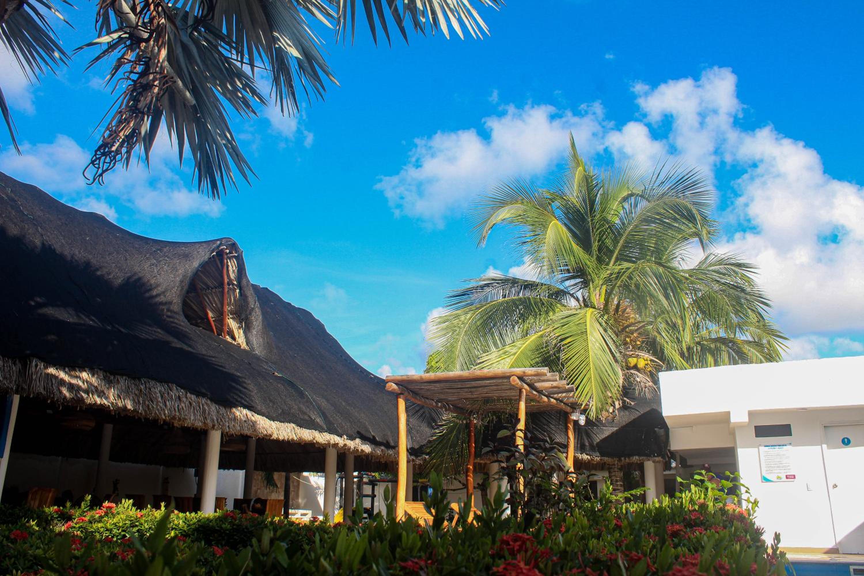 Ledymar Chalet