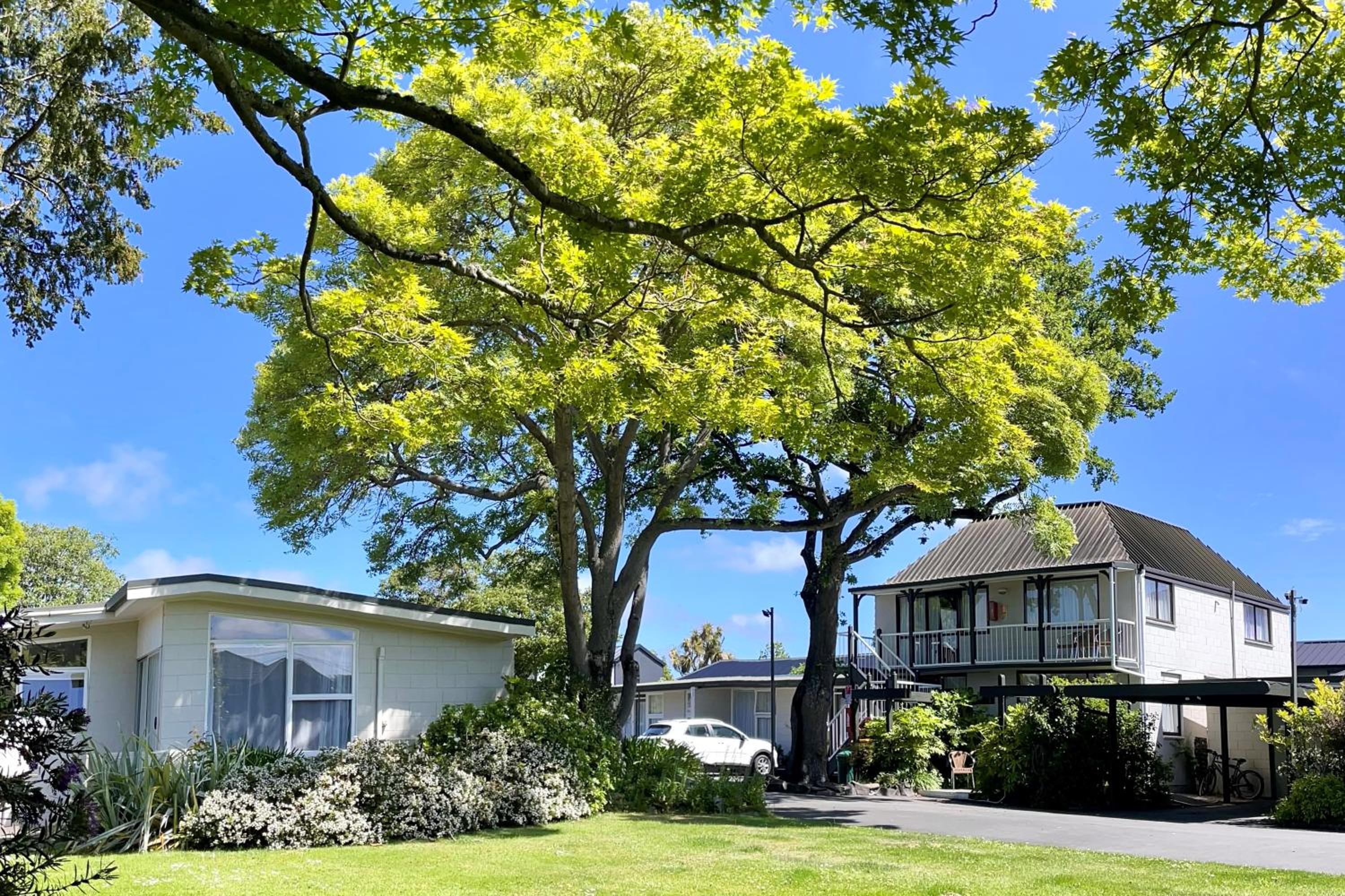 Ashleigh Court Motel-Christchurch Hagley Park - Image 2