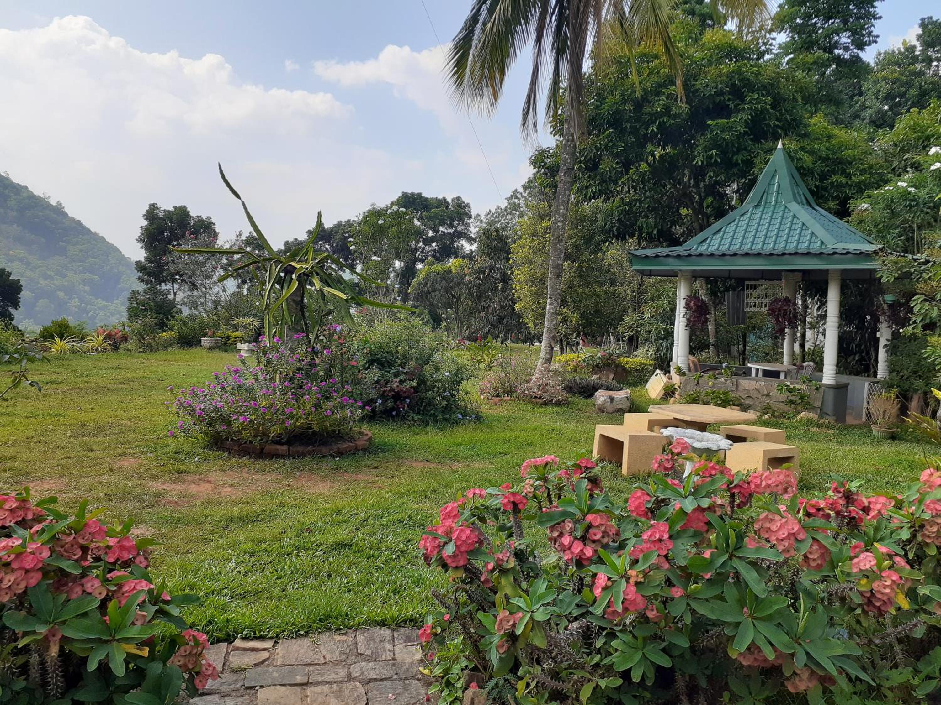 Primrose Kandy Hill Bungalow view 5