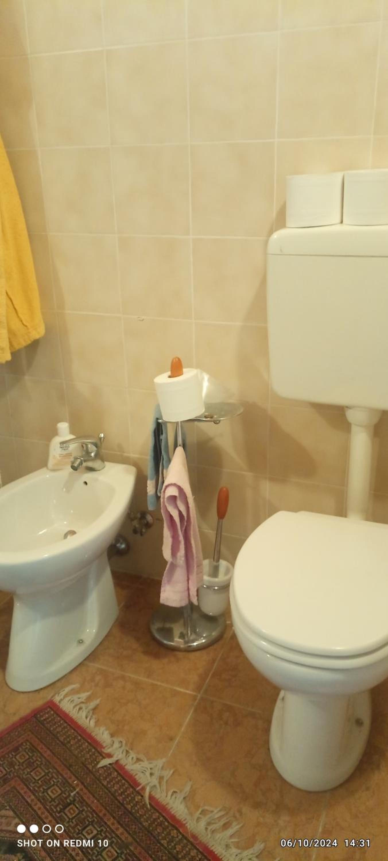Vicky's House