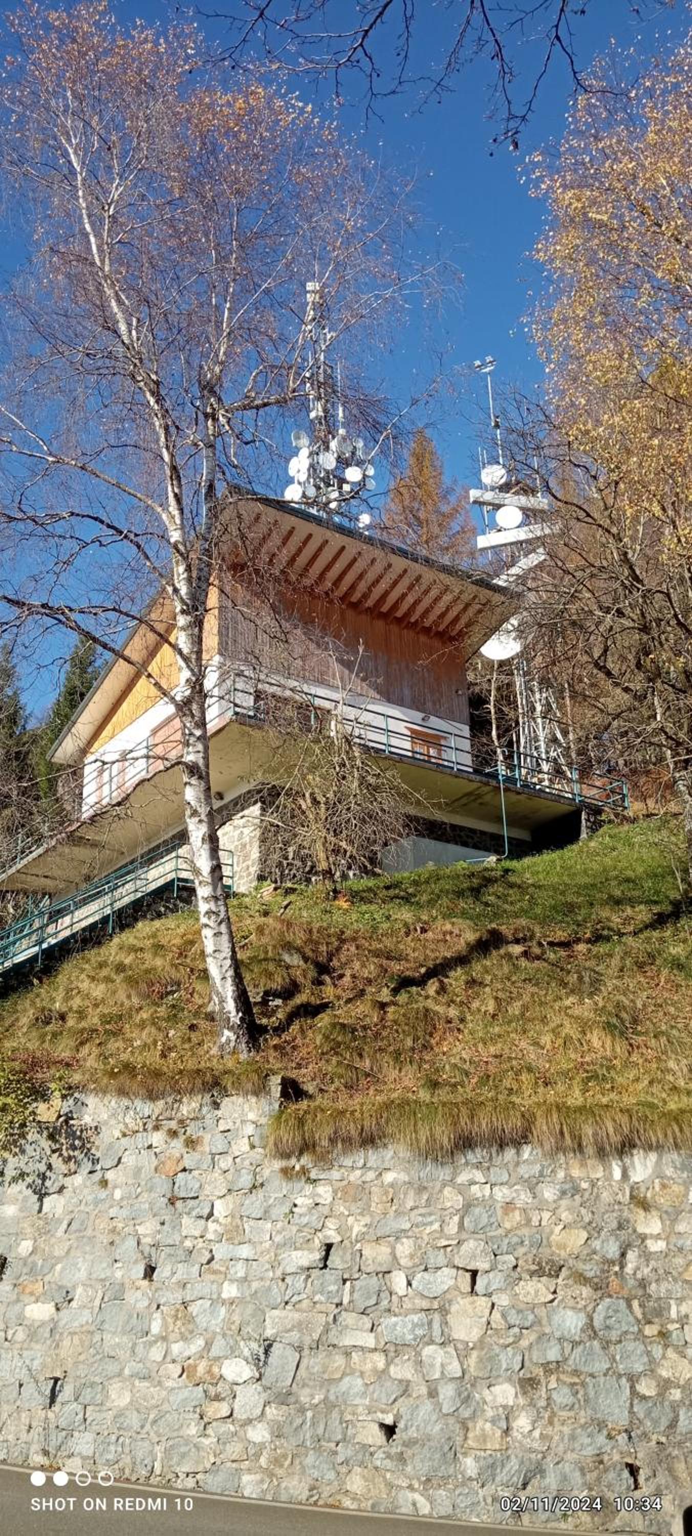 Vicky's House