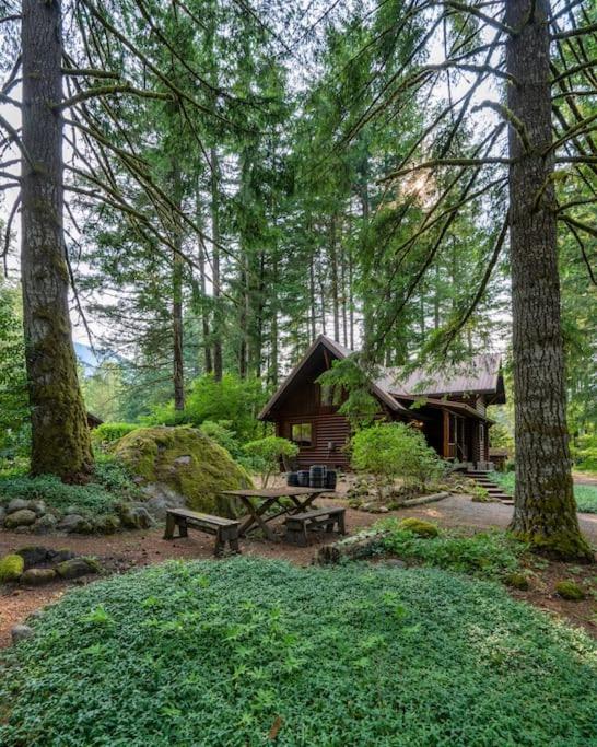Mt Hood Log Cabin! Fresh Remodel with Airstream! Cabin, Airstream 1 view 2