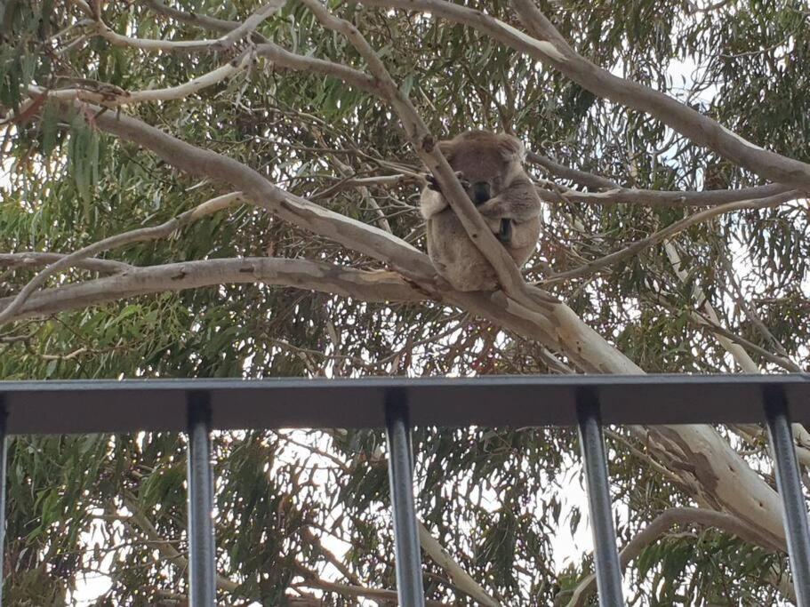 Clifton, Kangaroo Island