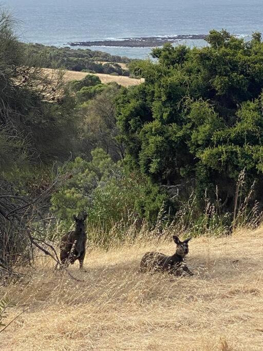 Clifton, Kangaroo Island