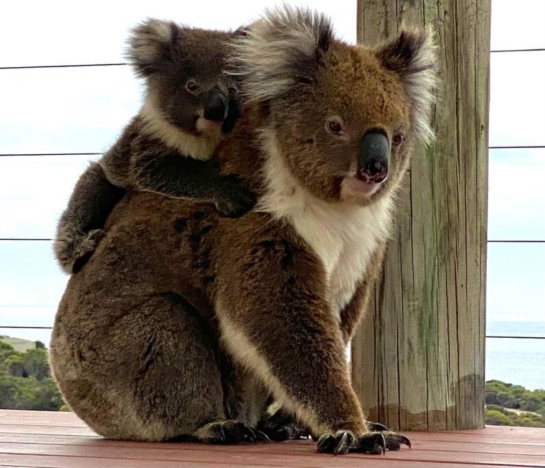 Clifton, Kangaroo Island