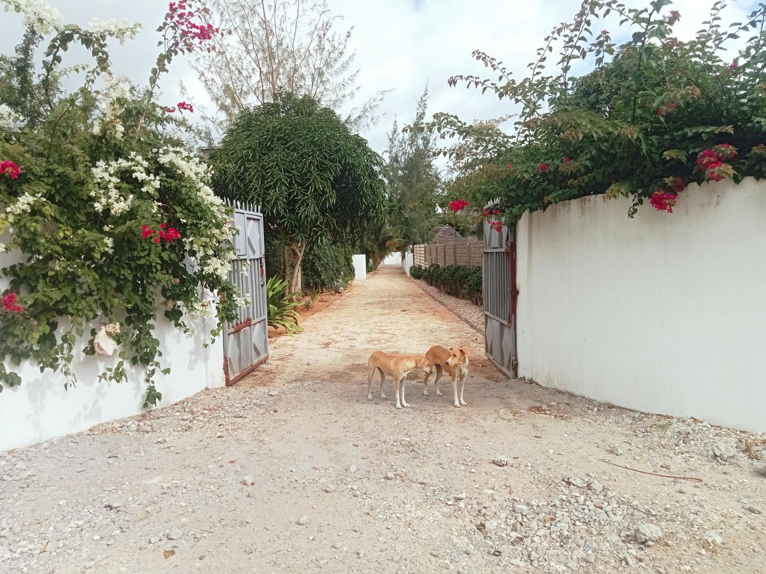 Hideaway villa watamu