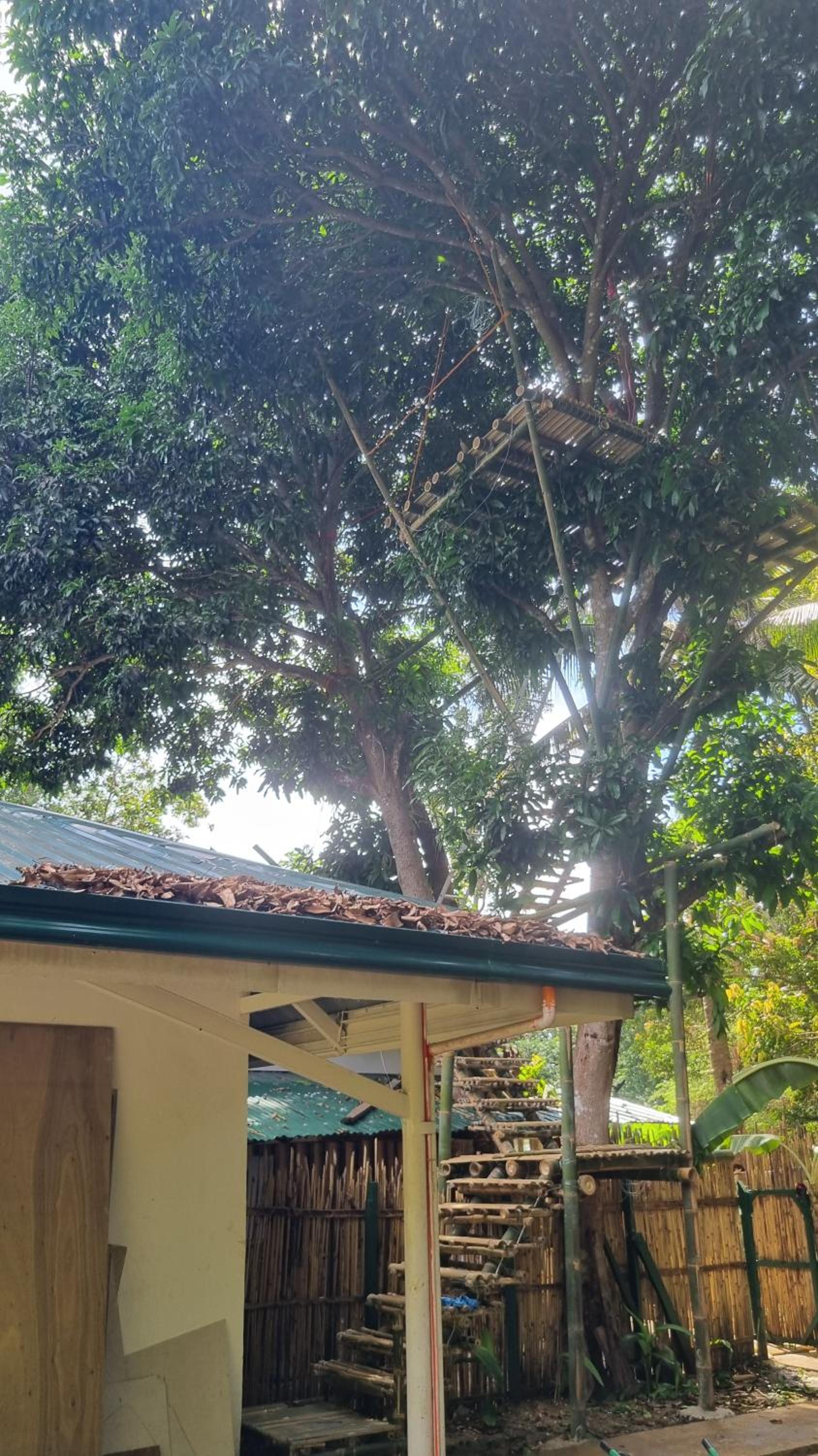 Amazing Ocean View Treehouse & Pool view 4