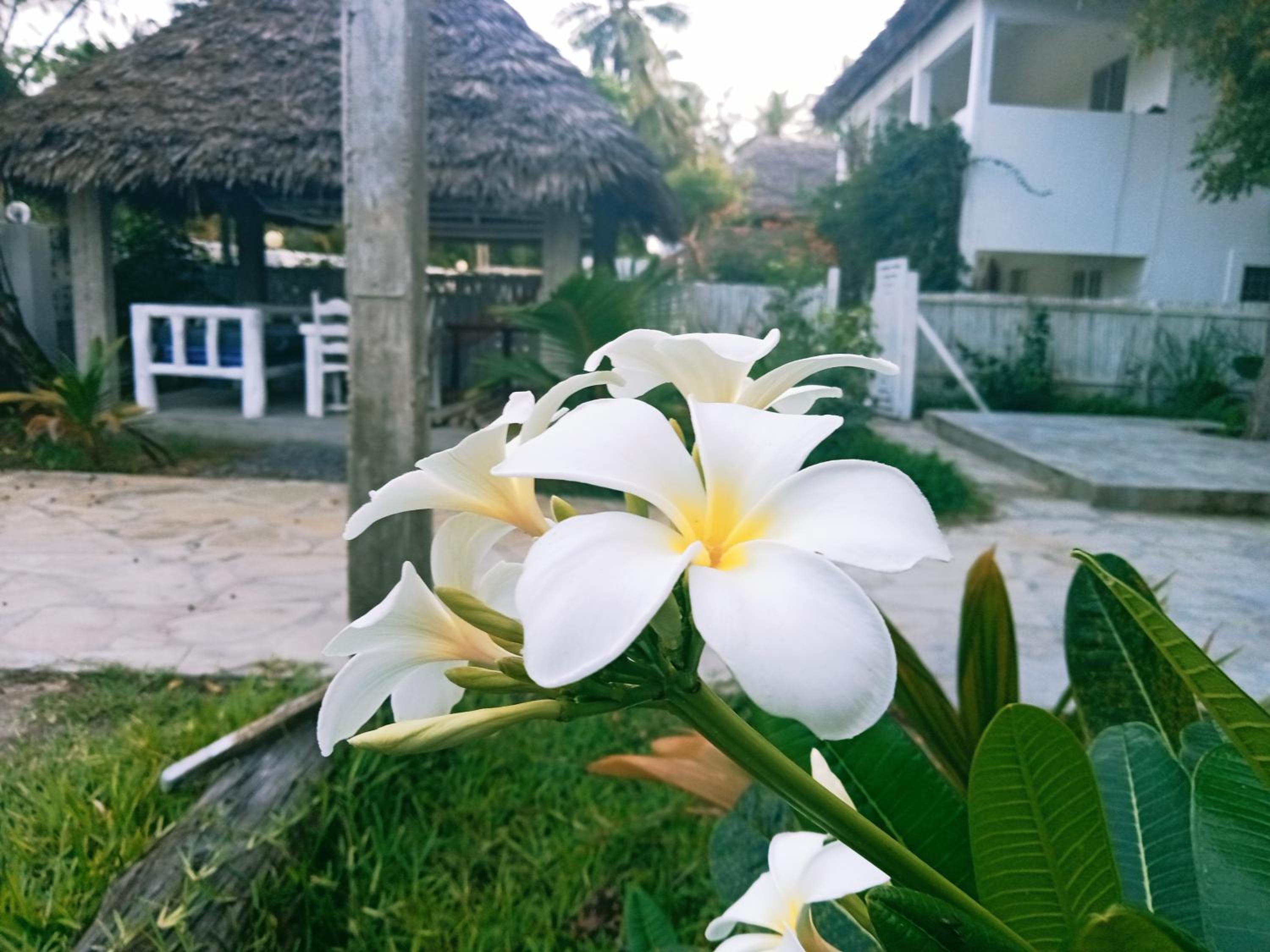 Hideaway villa watamu
