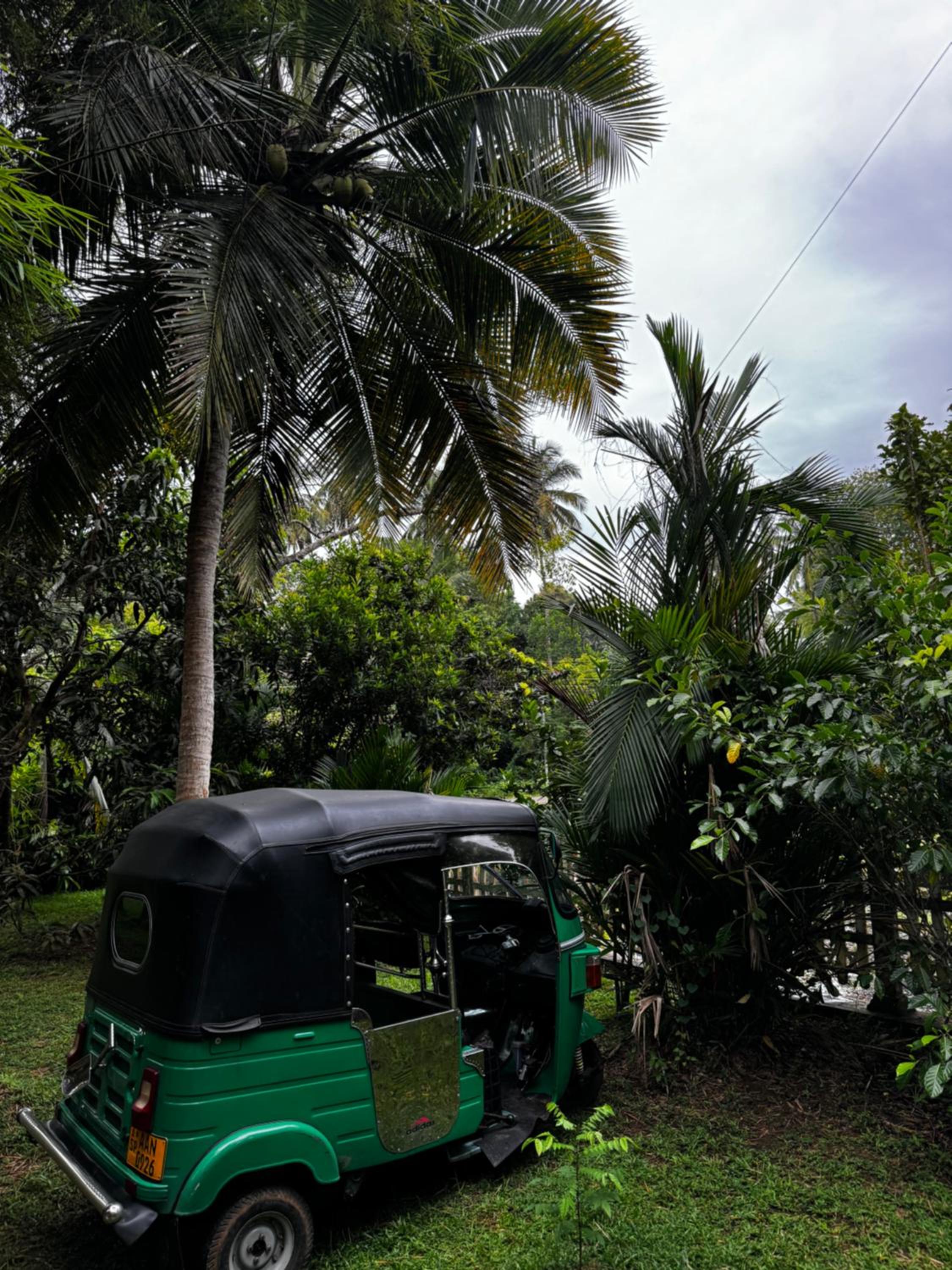 Photo 16