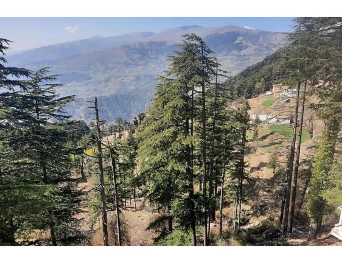 Hotel Dreamland, Patnitop view 2