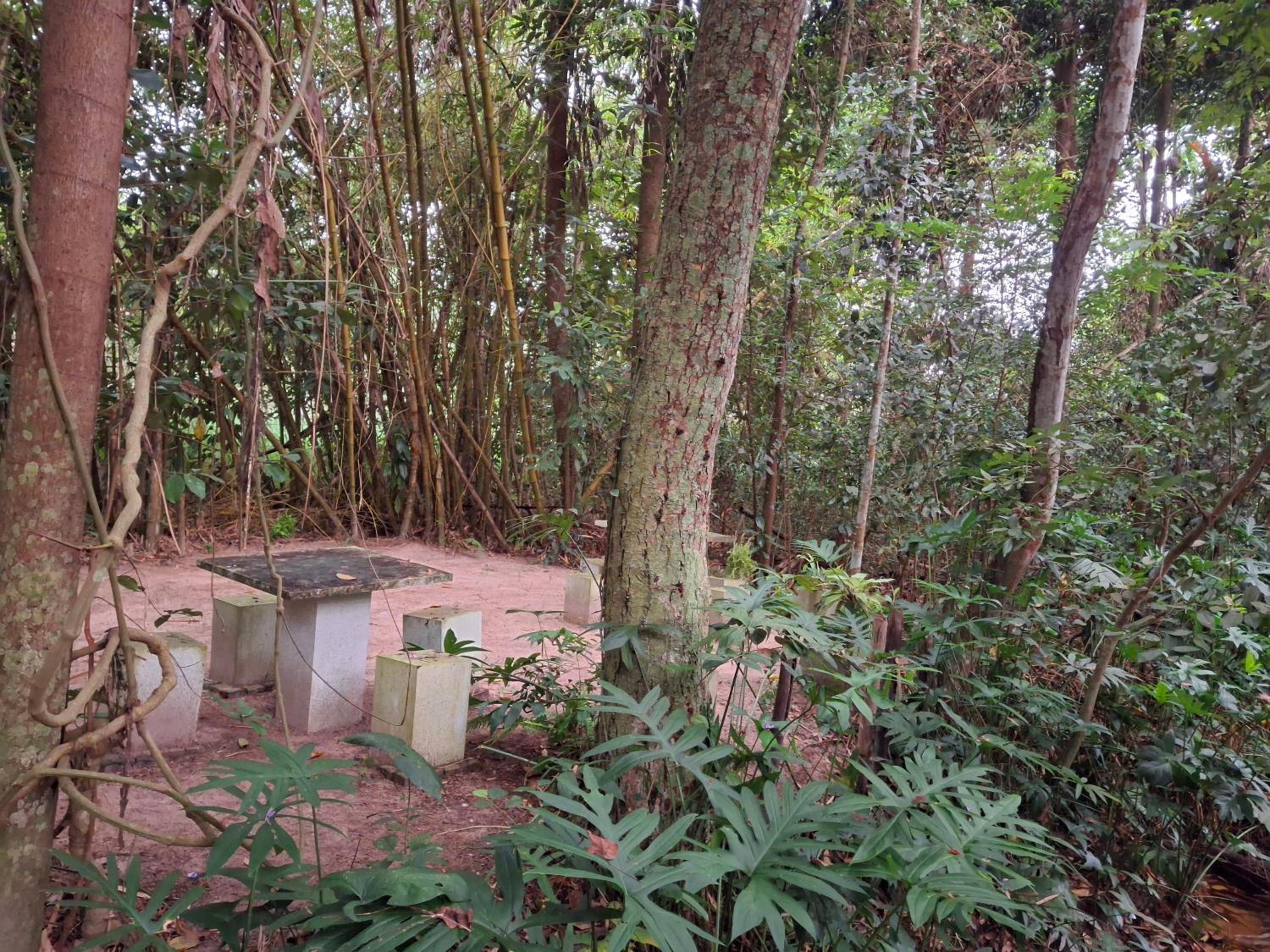 Debaraliyadda Estate