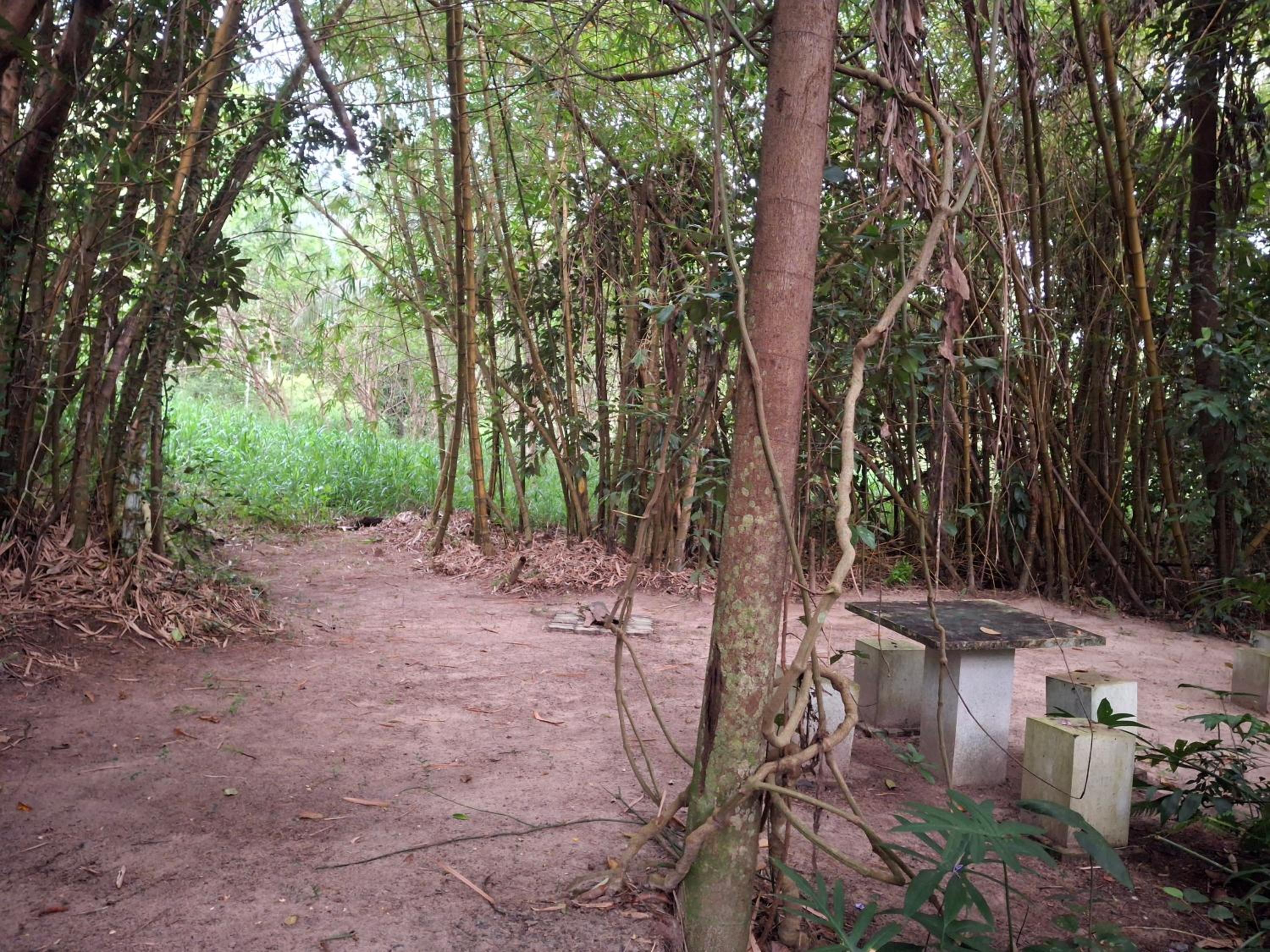 Debaraliyadda Estate