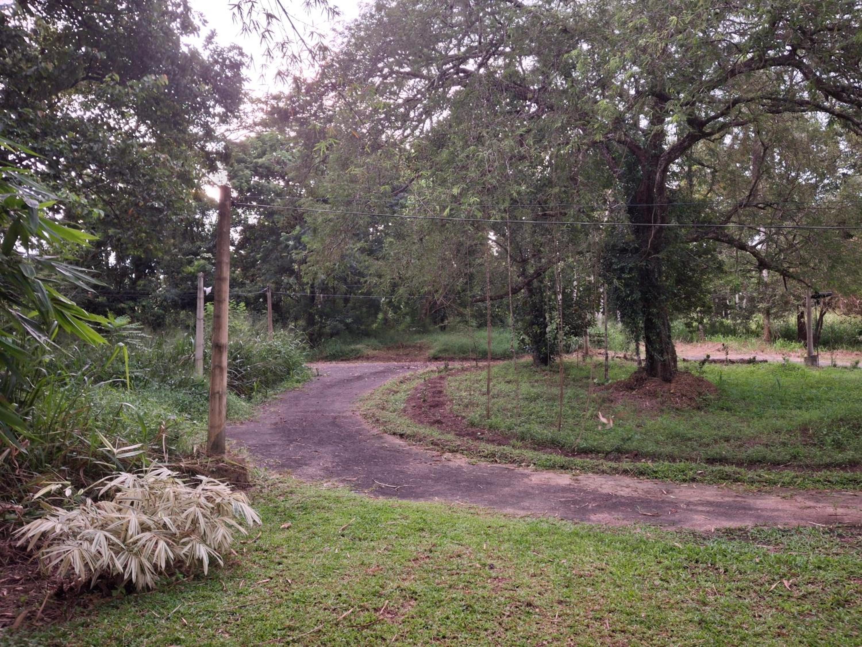 Debaraliyadda Estate