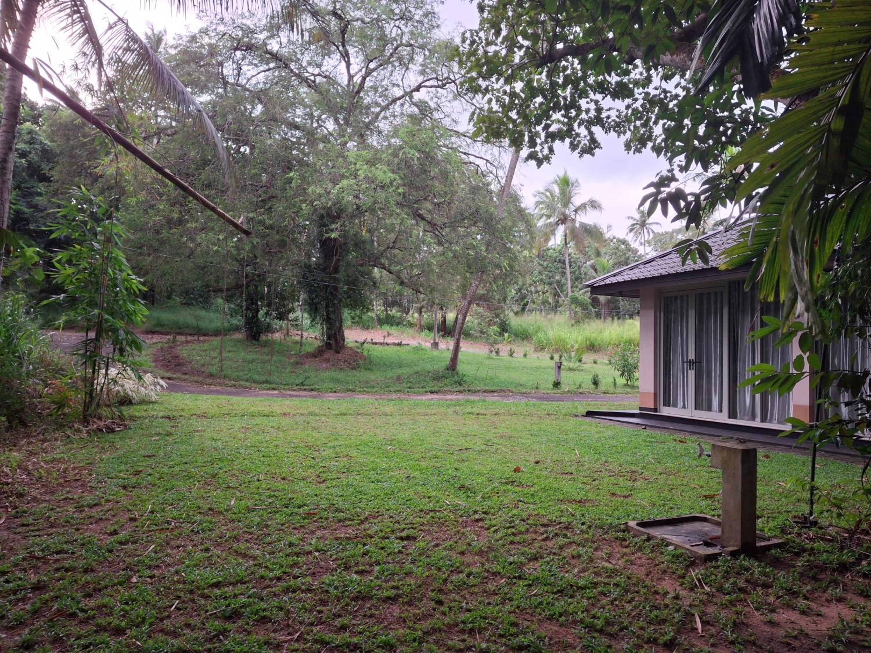 Debaraliyadda Estate