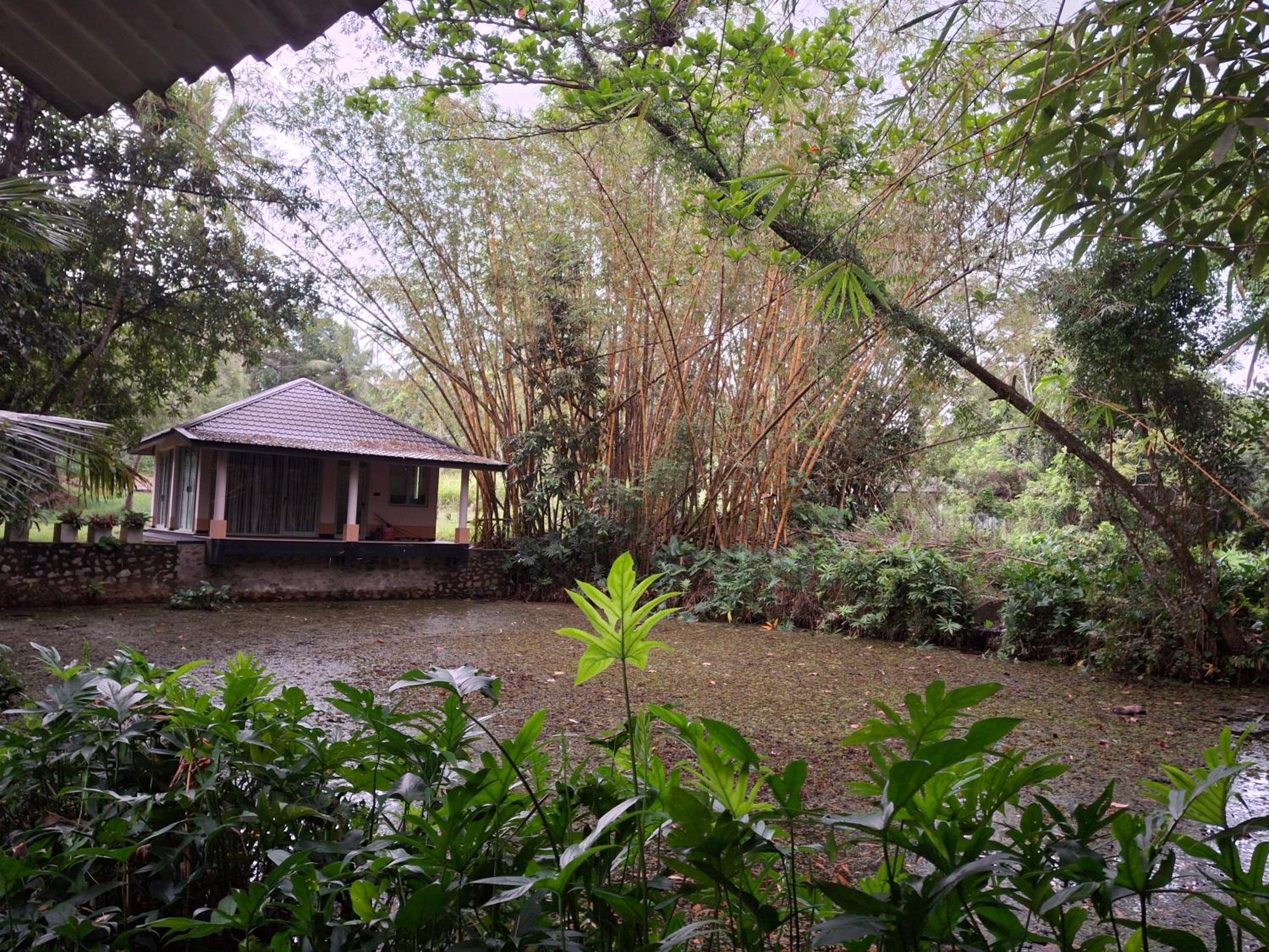 Debaraliyadda Estate