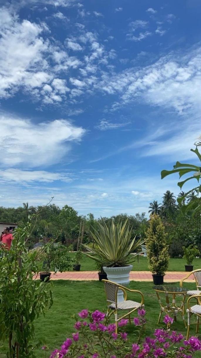 3BHK luxurious Villa in Anjuna view 2