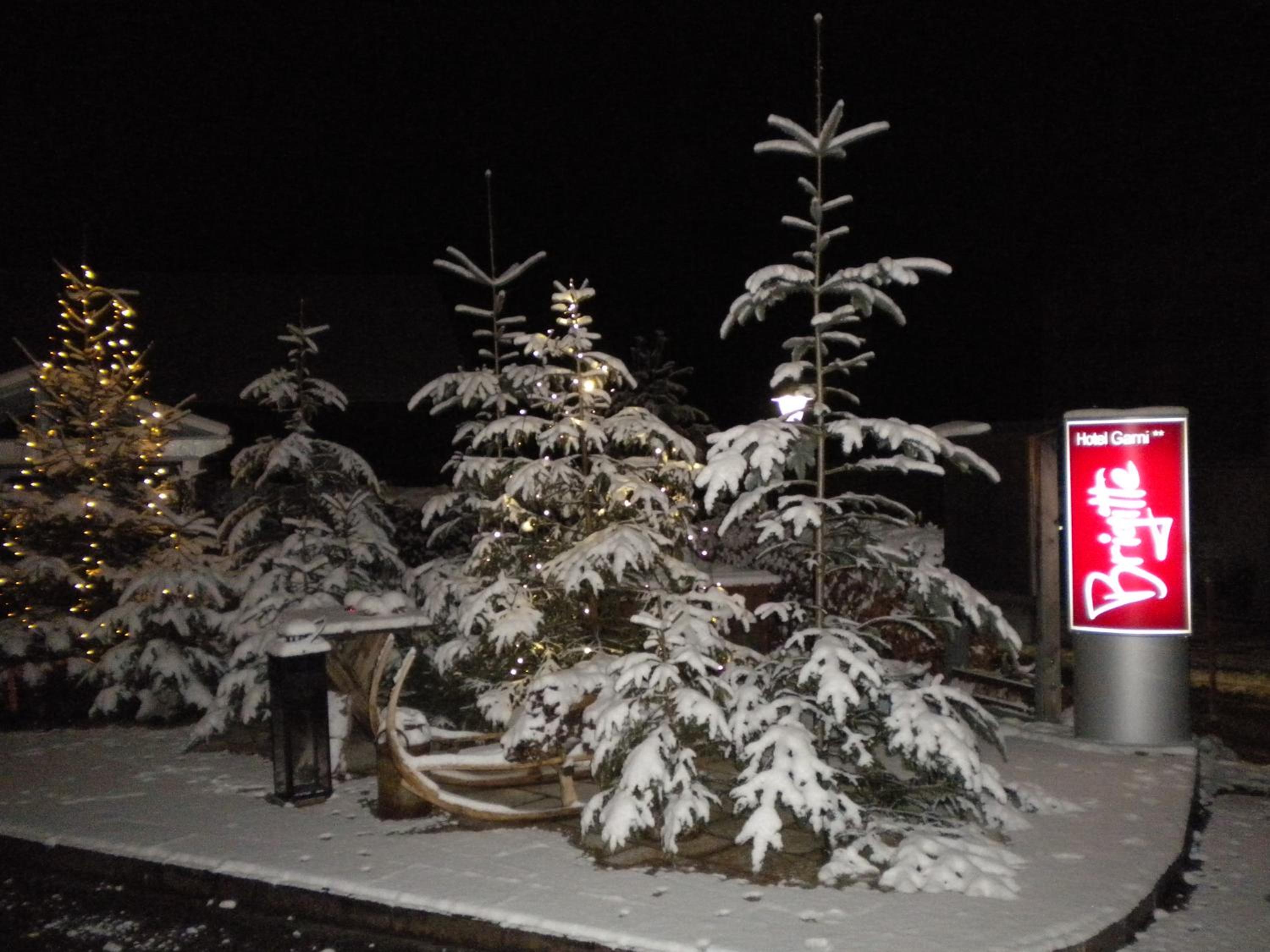 Hotel Garni Brigitte