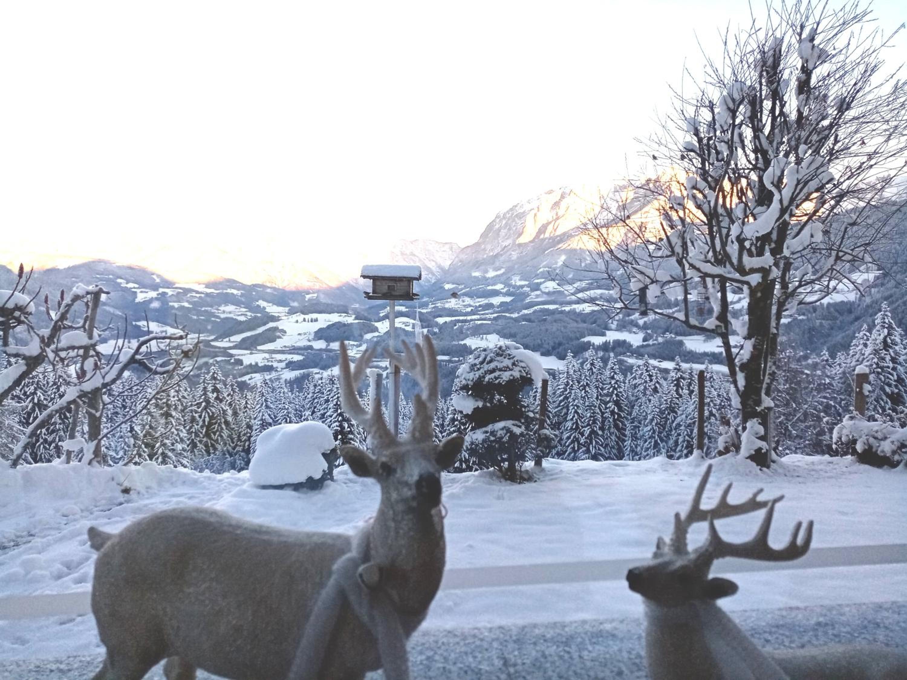 Panorama Chalet mit Sauna Höllmaishof