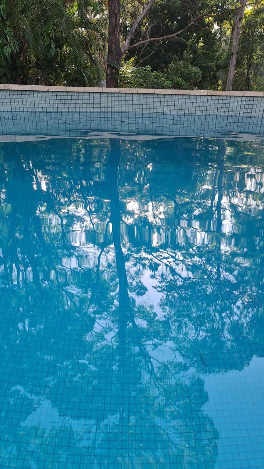 Buderim Treetops