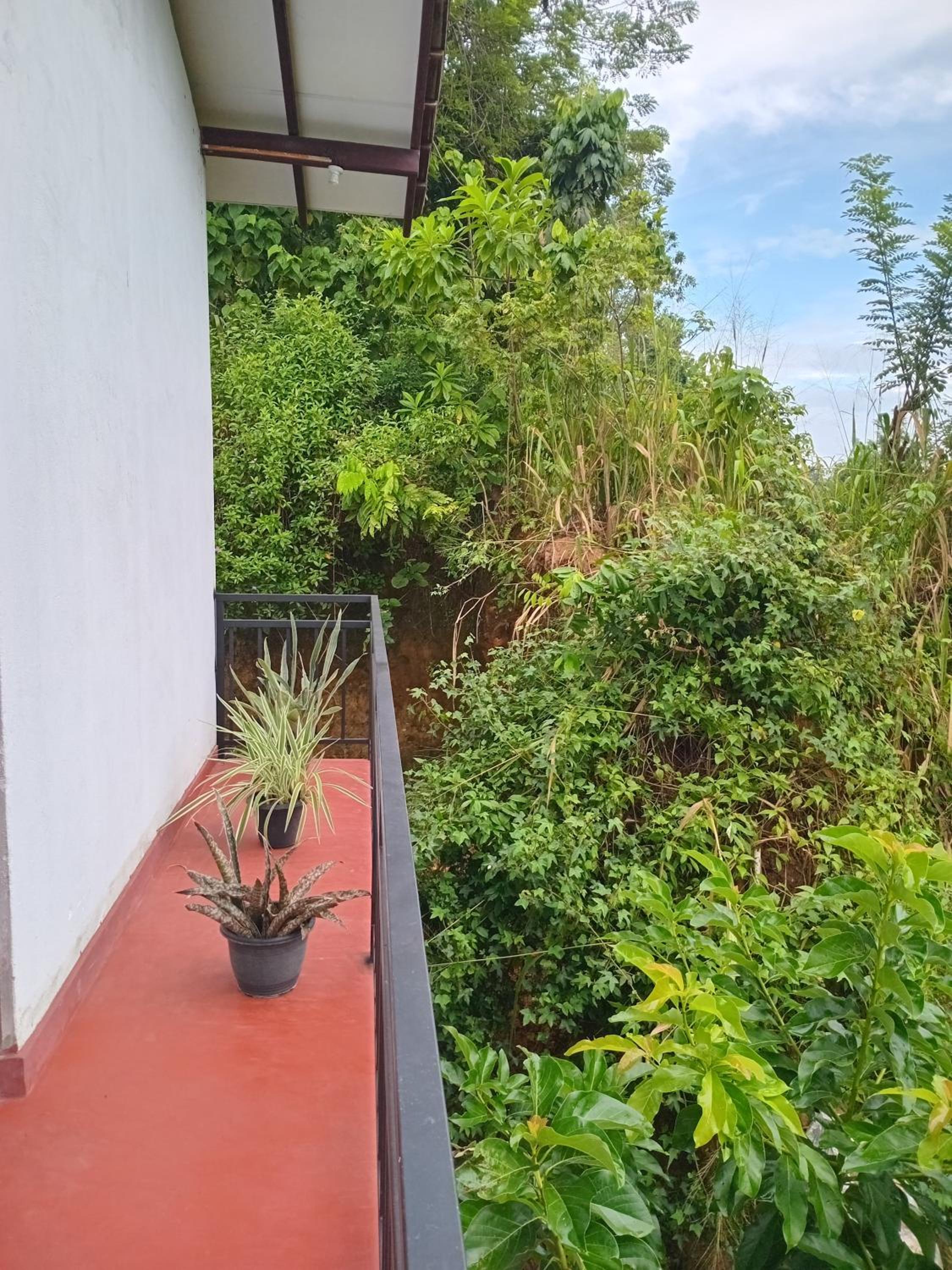 Green home