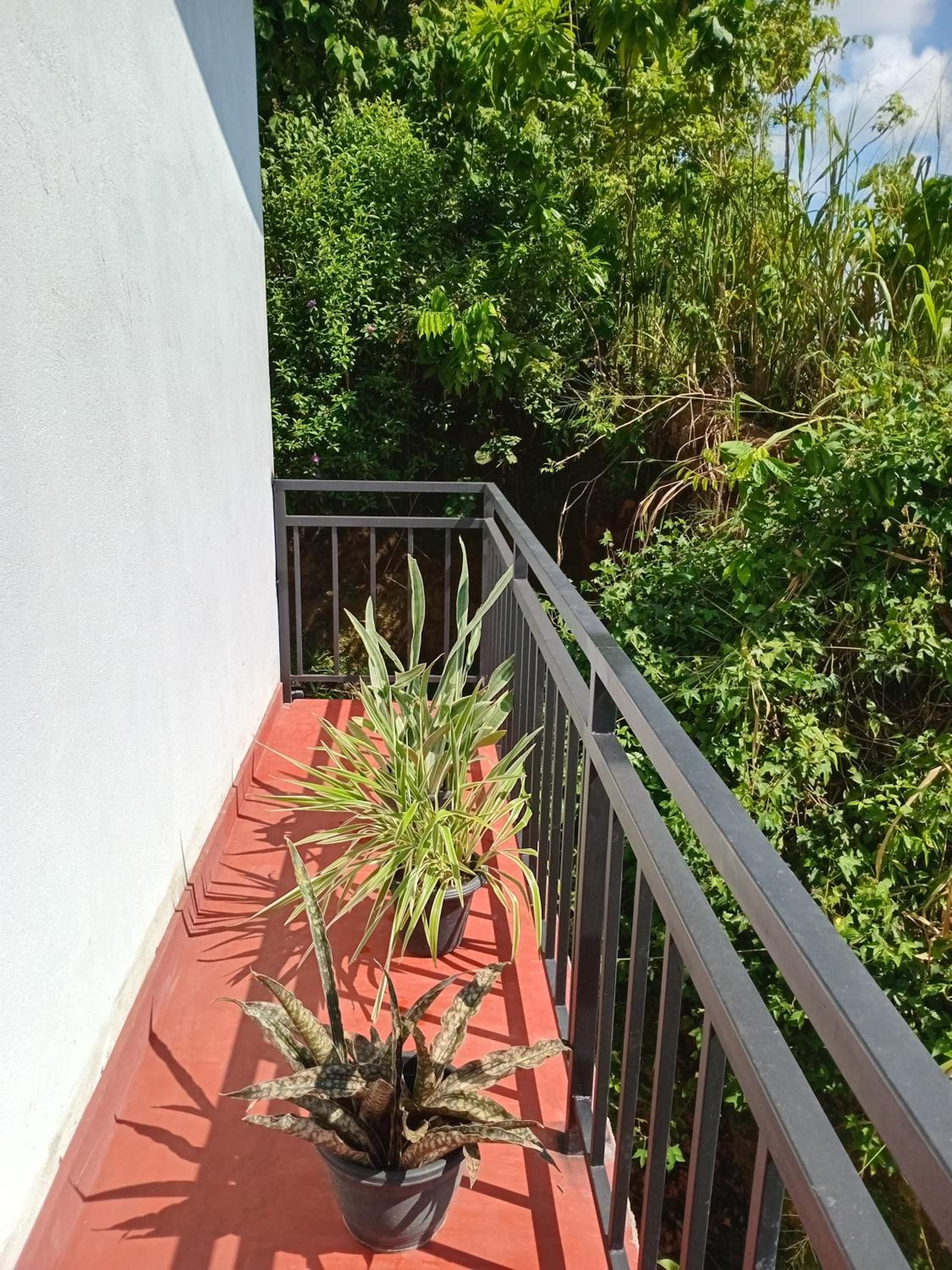 Green home