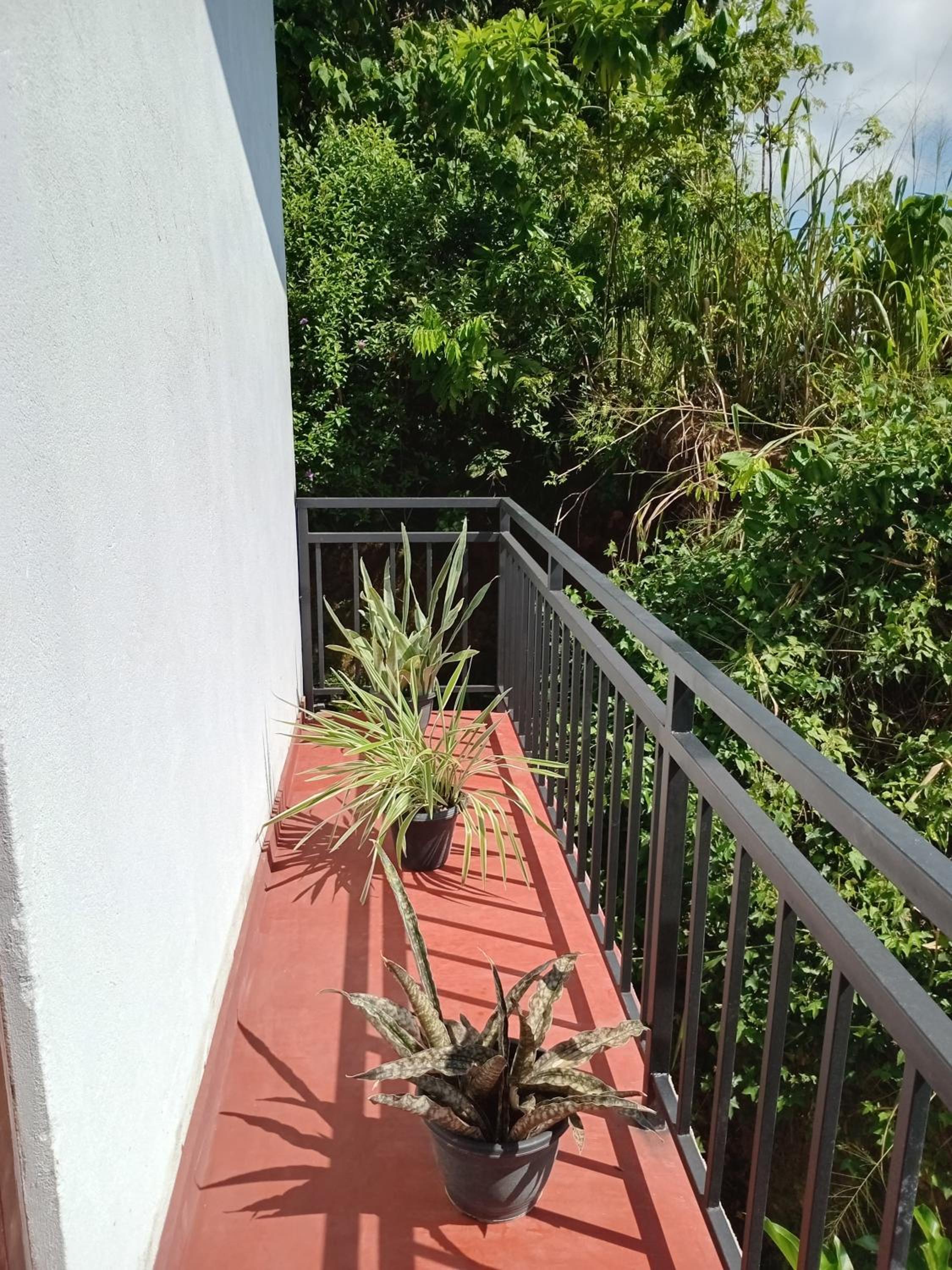 Green home
