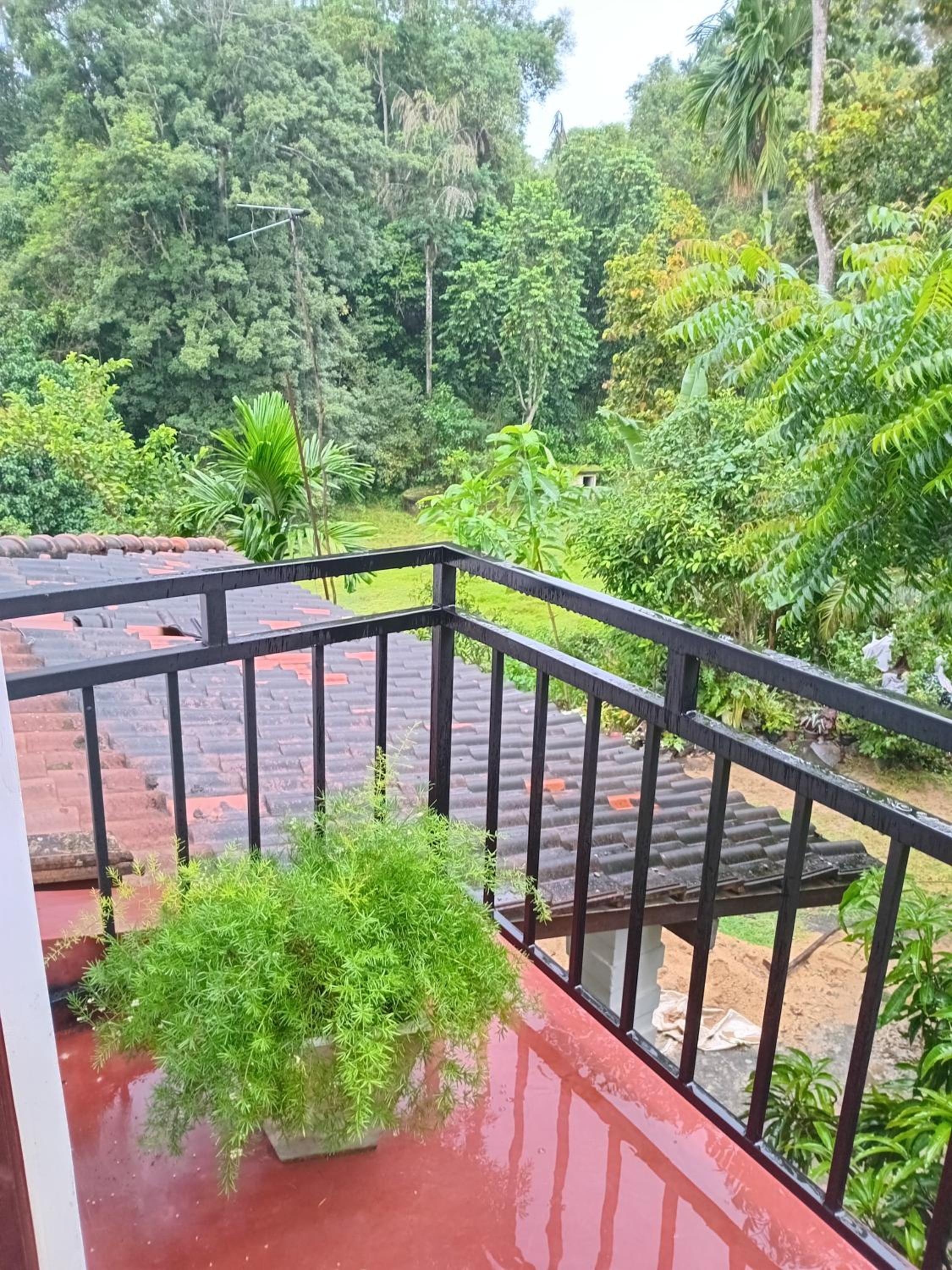 Green home