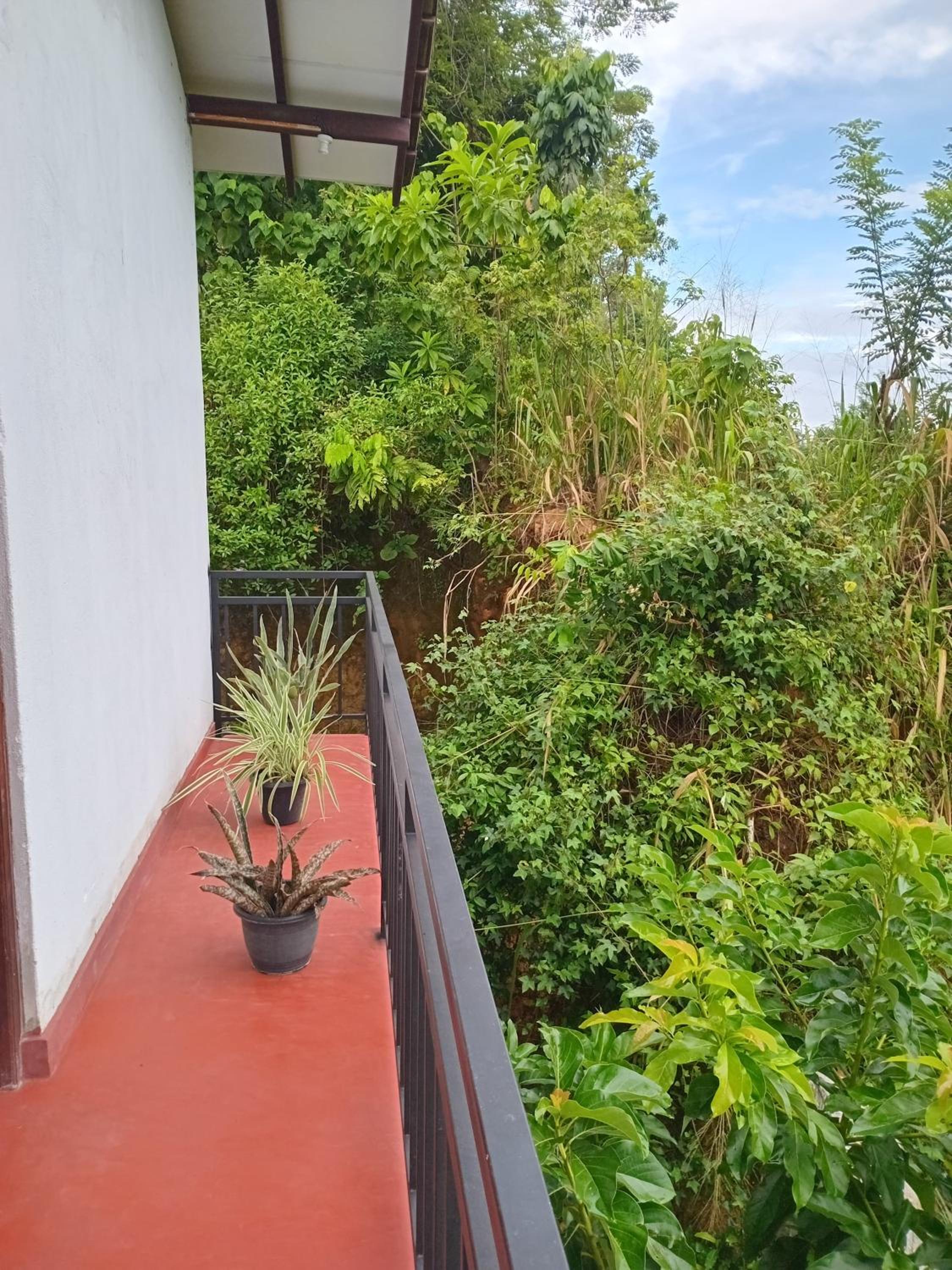 Green home