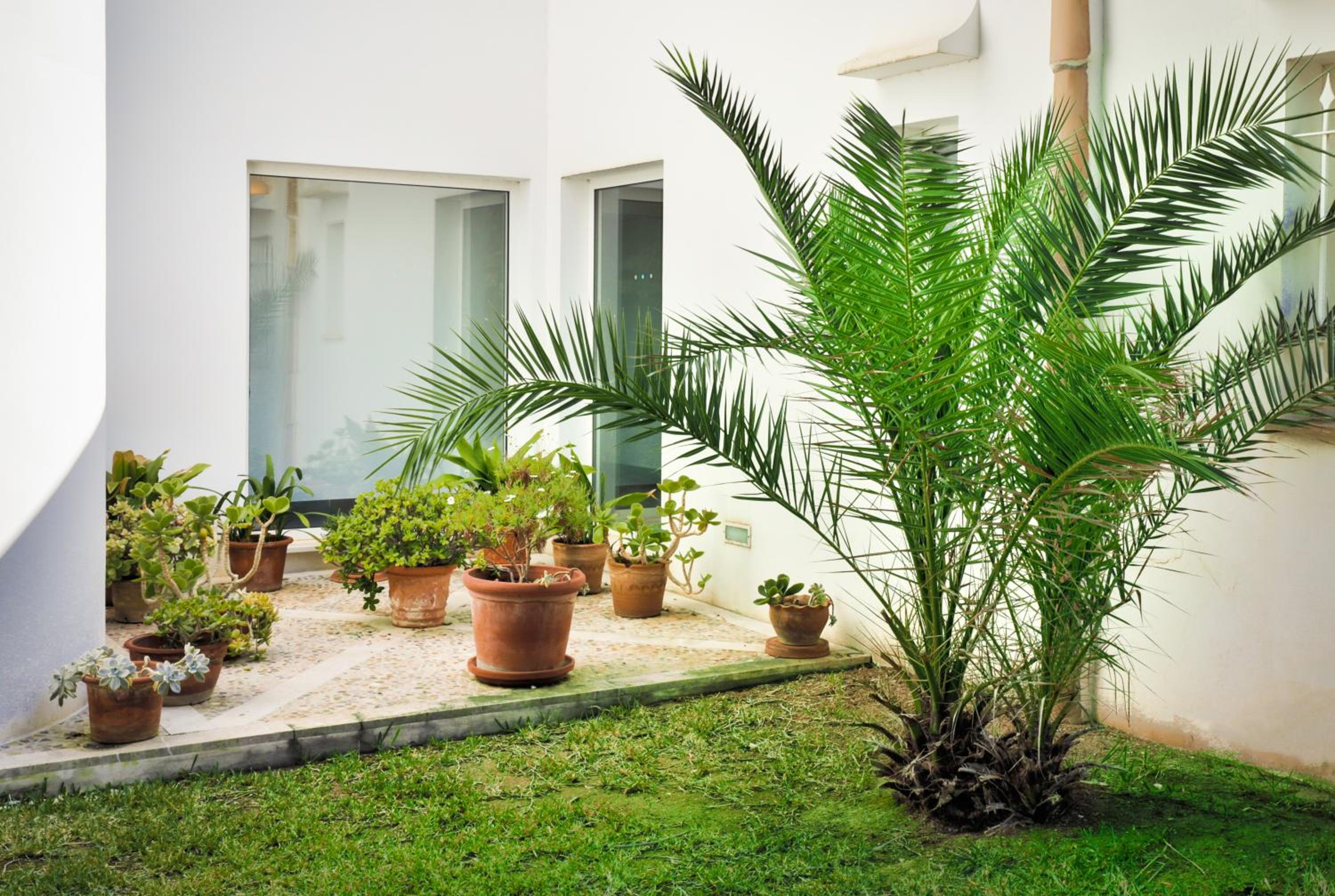 Villa Daria