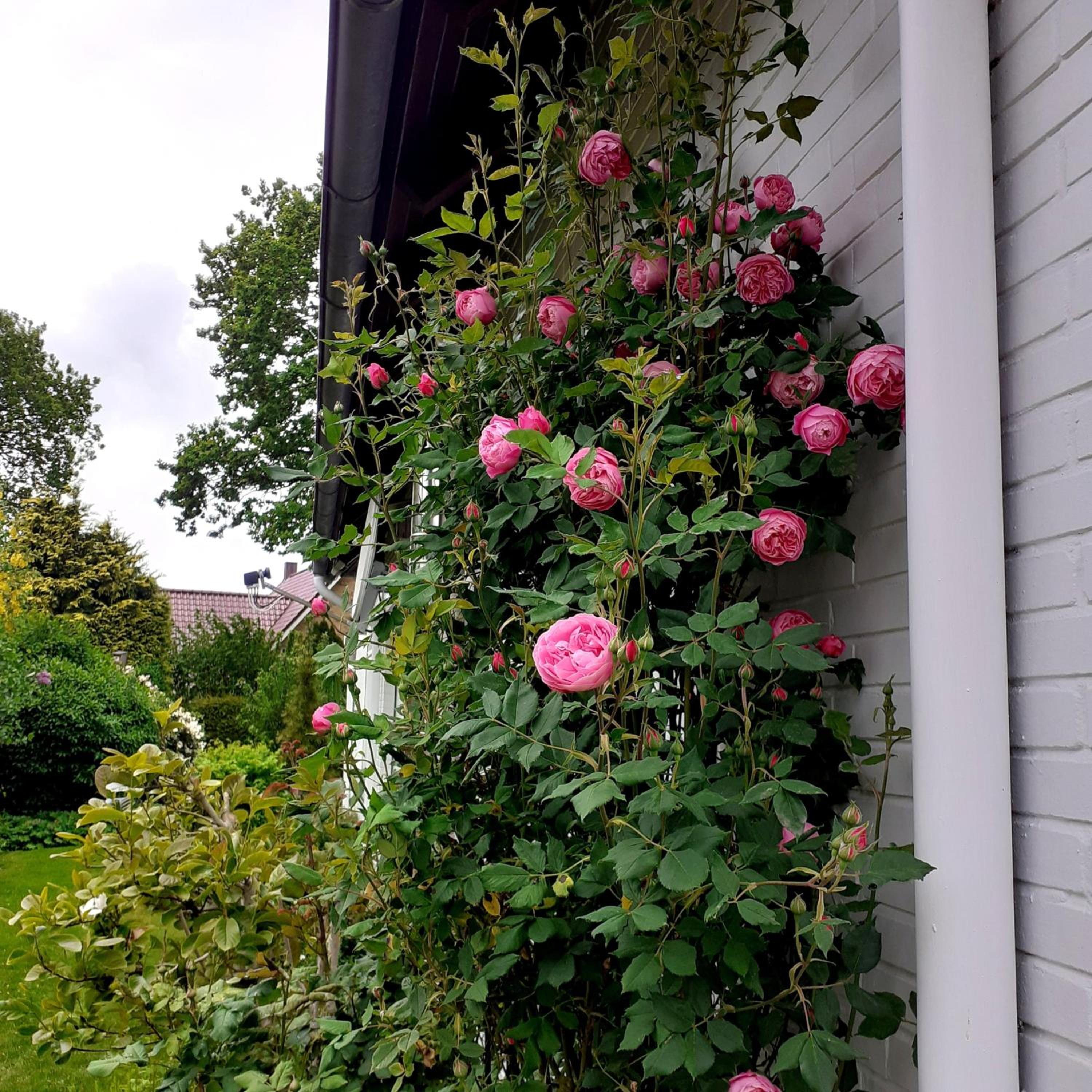 Ferienwohnung De Poppenstuv