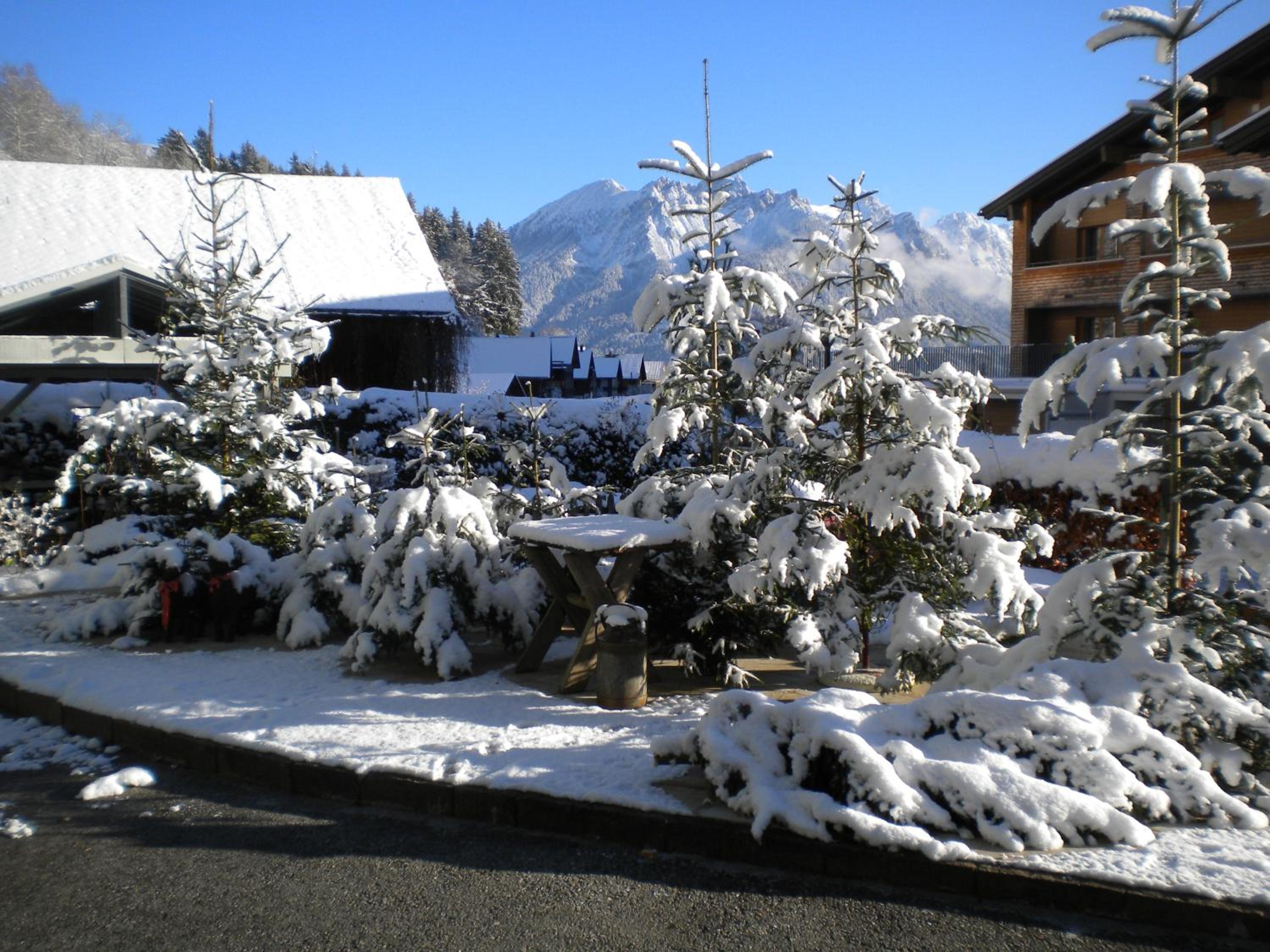 Hotel Garni Brigitte
