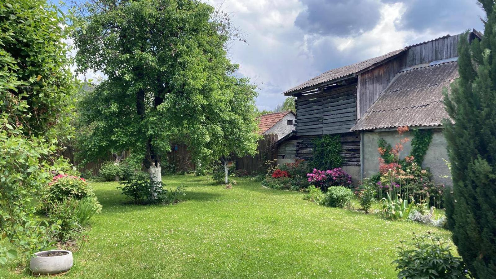 Photo 42