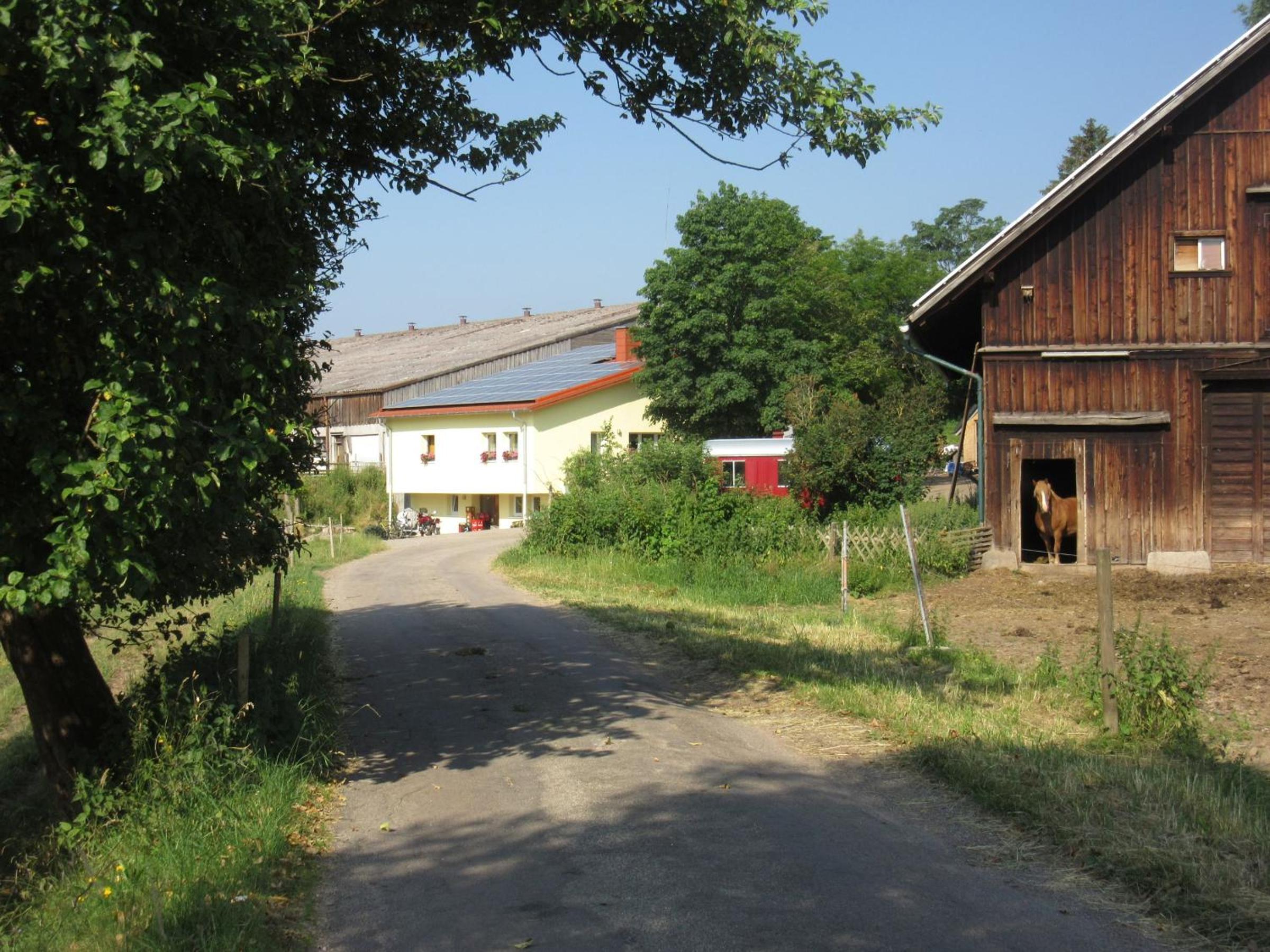 Hofgut Dürrenbühl