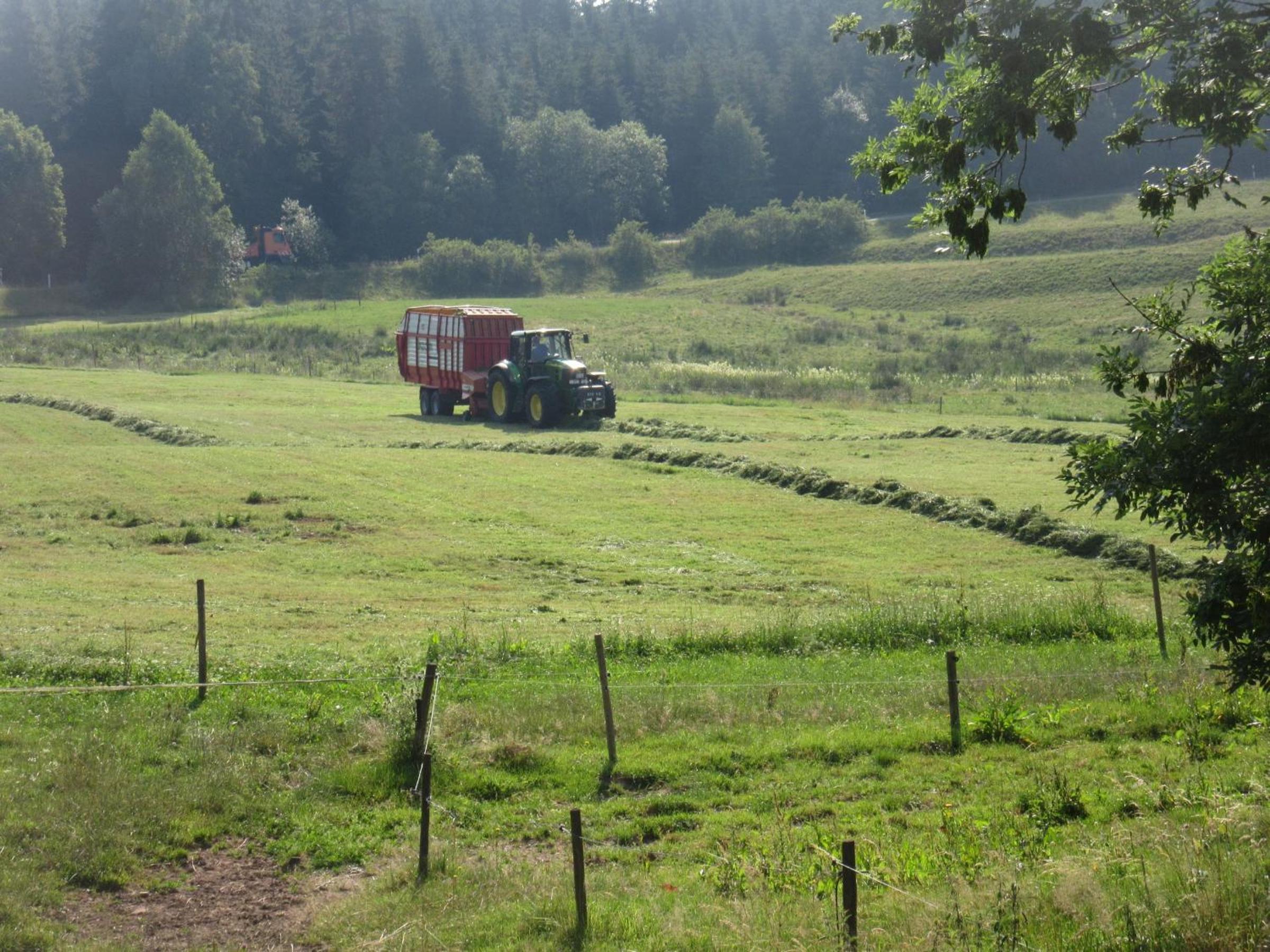 Hofgut Dürrenbühl